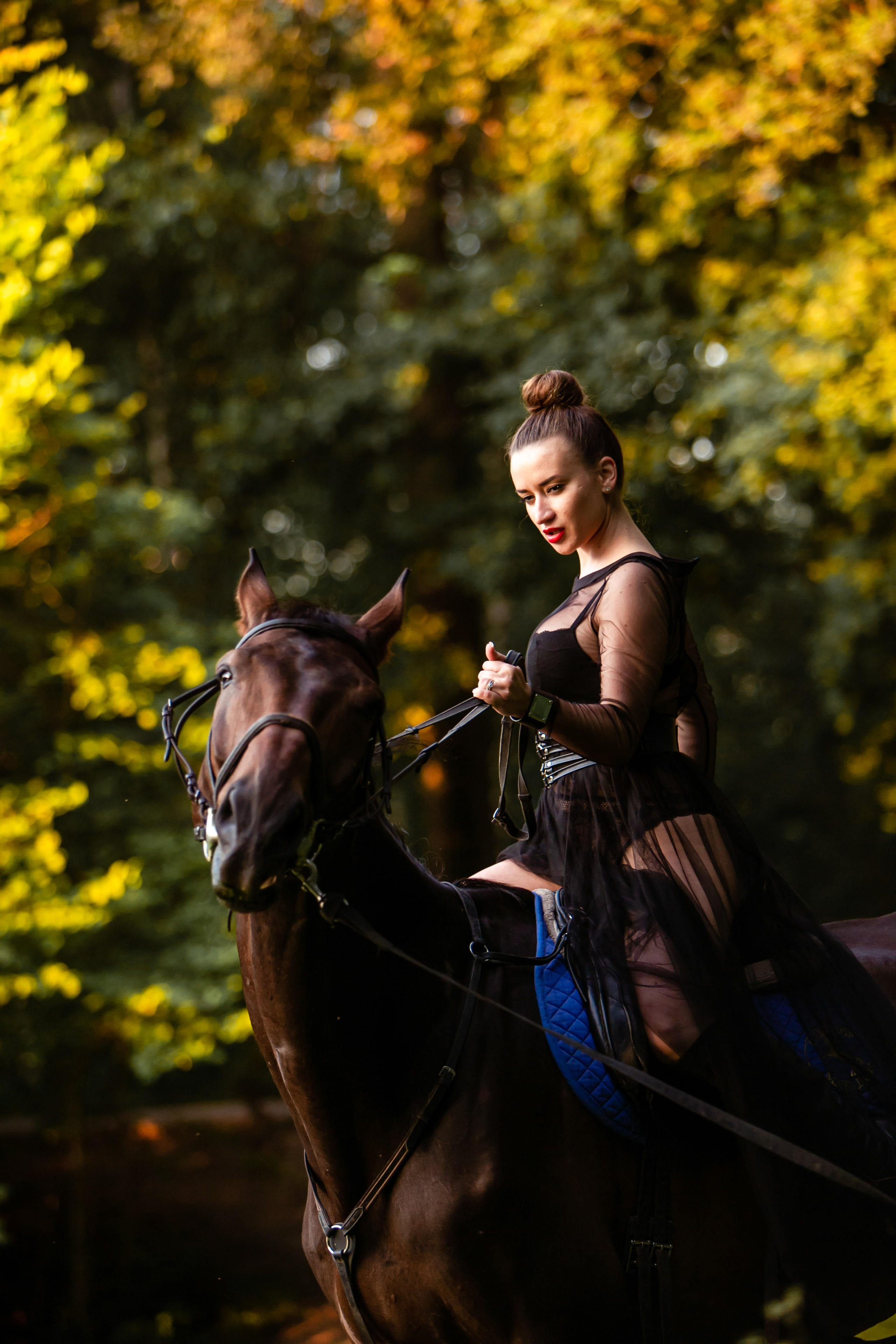Фото с лошадьми. Фотограф Елена Лагода