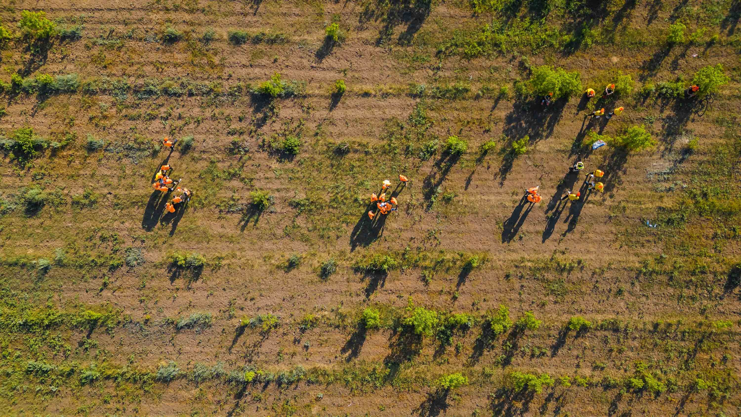 Жестокие игры. Главная