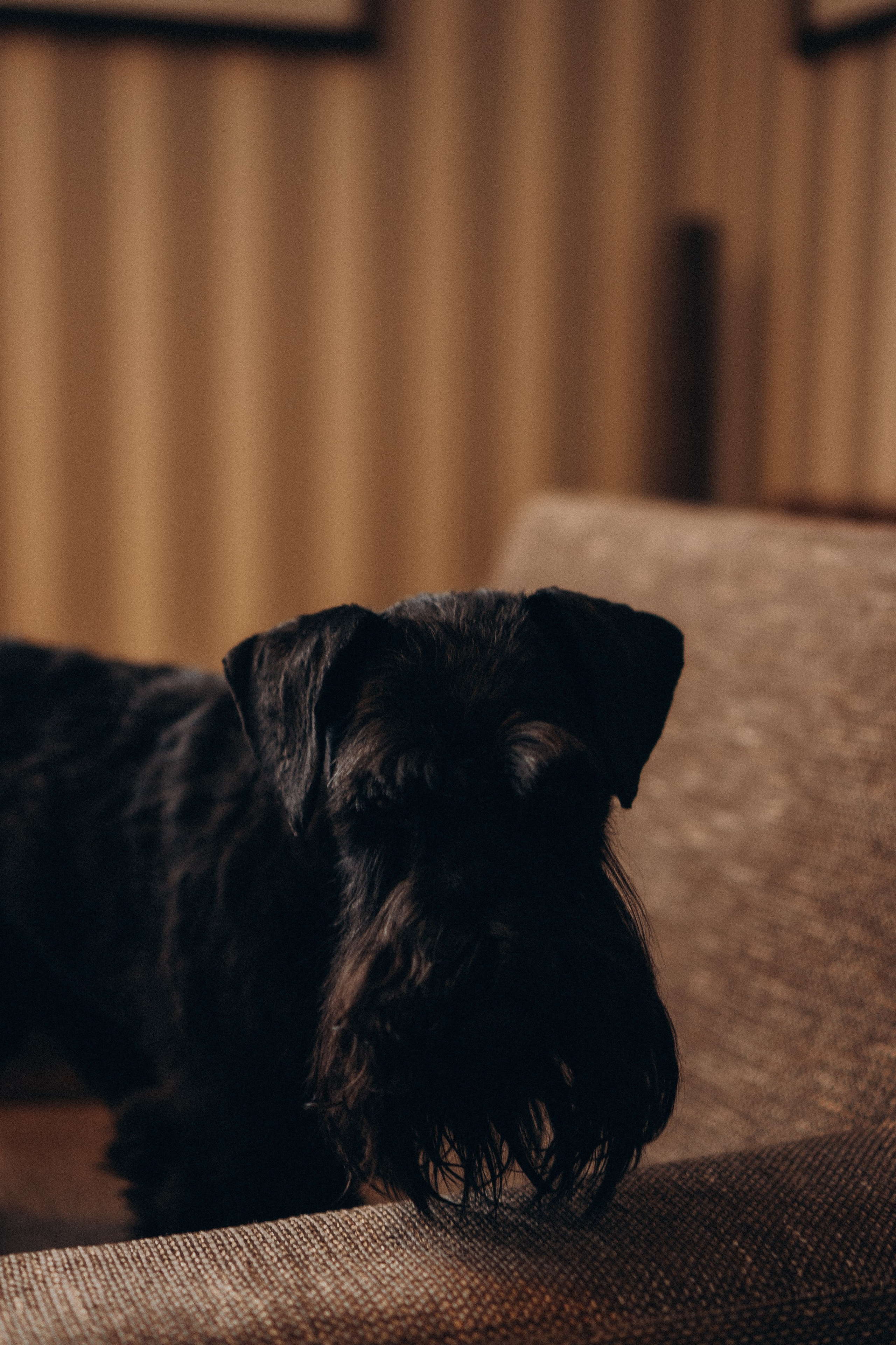 ДЕНЬ РОЖДЕНИЯ. Профессиональный фотограф, Санкт-Петербург — Виктория Богомолова
