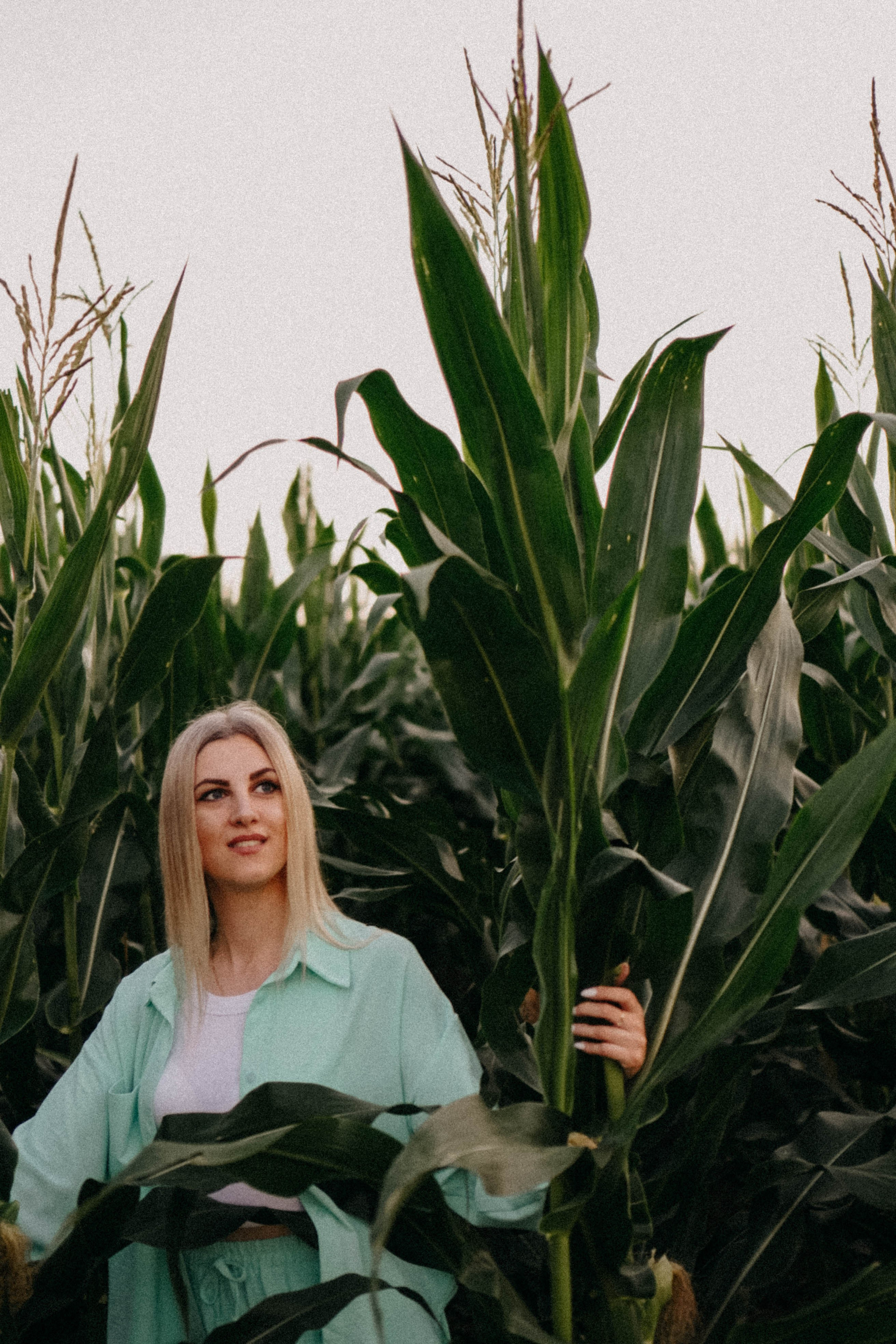 Летний вечер. Профессиональный фотограф, Санкт-Петербург — Виктория Богомолова