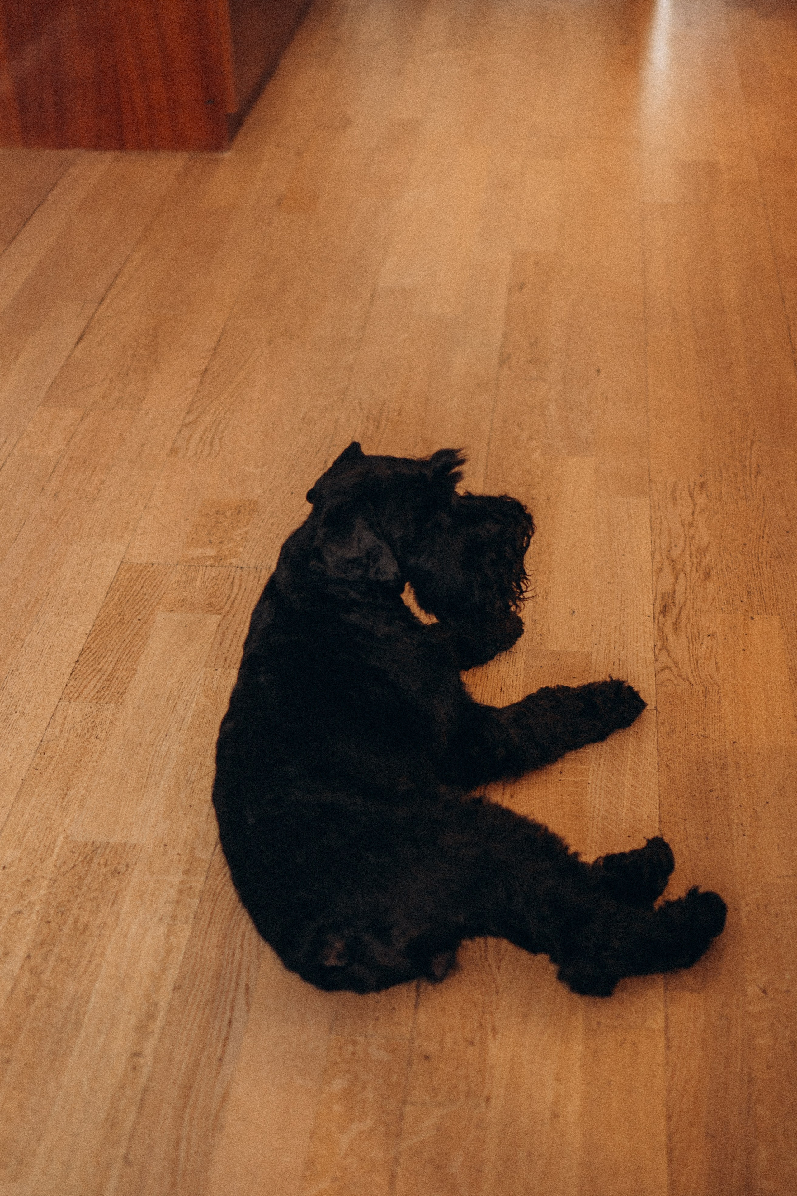 ДЕНЬ РОЖДЕНИЯ. Профессиональный фотограф, Санкт-Петербург — Виктория Богомолова