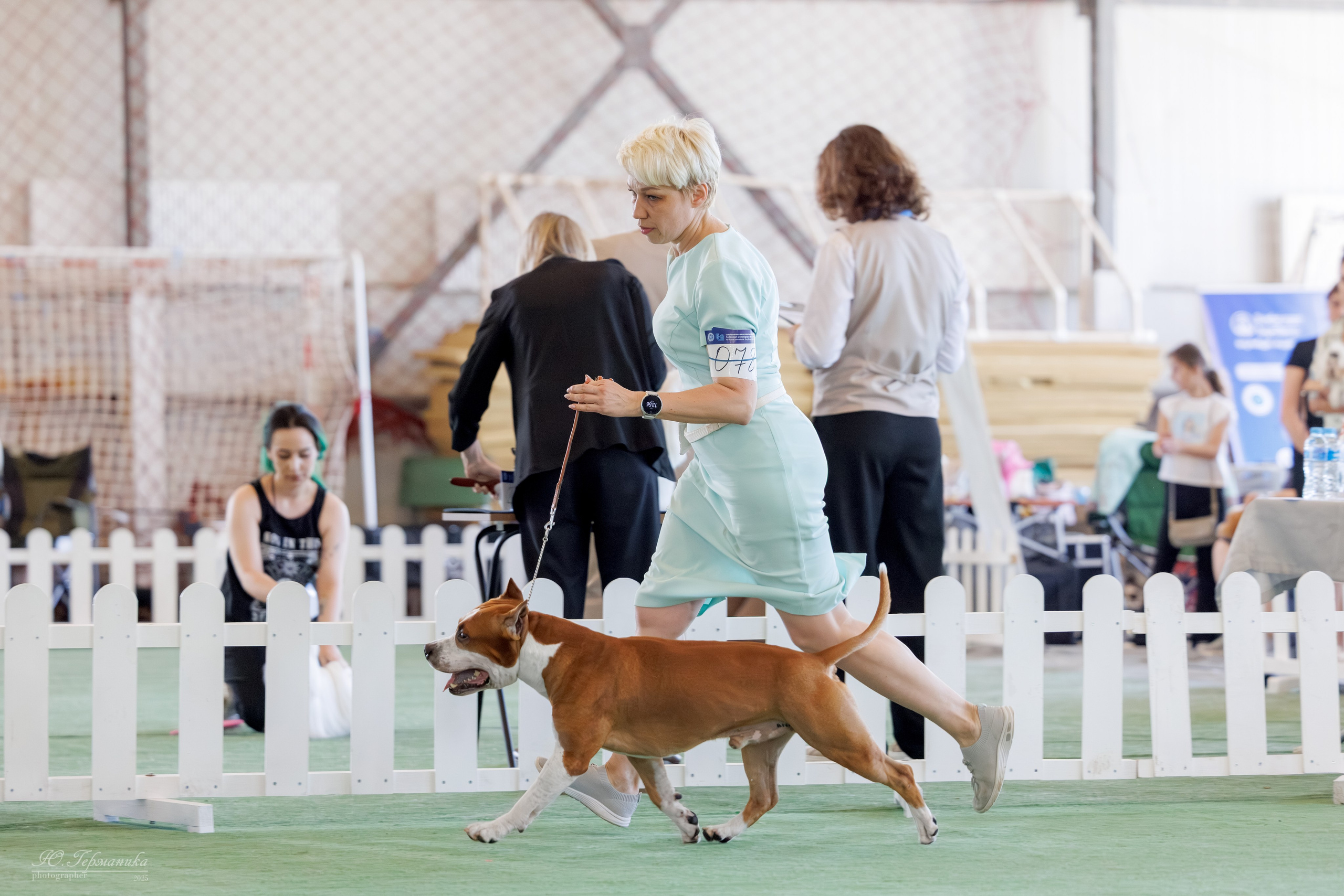 Батуми 3хCACIB 27-29.06.2025. Фотограф-анималист Юлия Германика