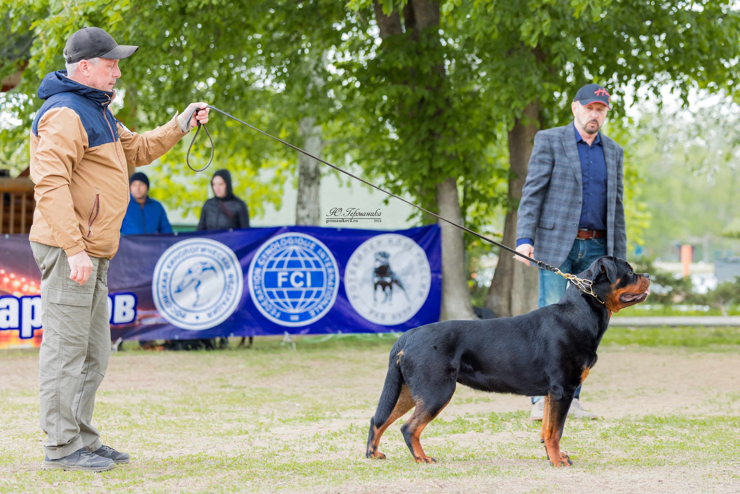 Саратов 2 х моно ротвейлеров 28-29.04.2024. Фотограф-анималист Юлия Германика