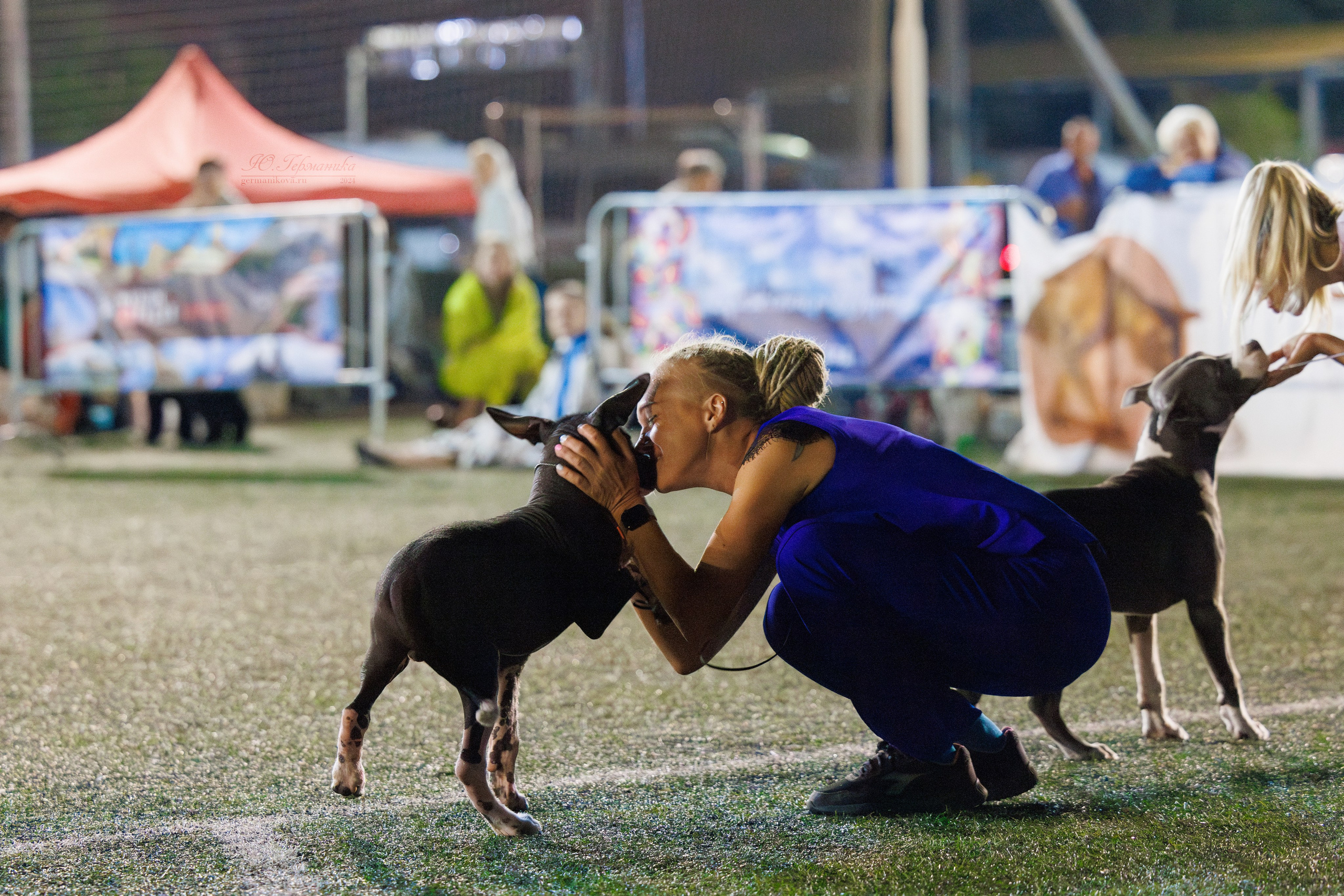 Волгоград 2-4.08.2024. Фотограф-анималист Юлия Германика