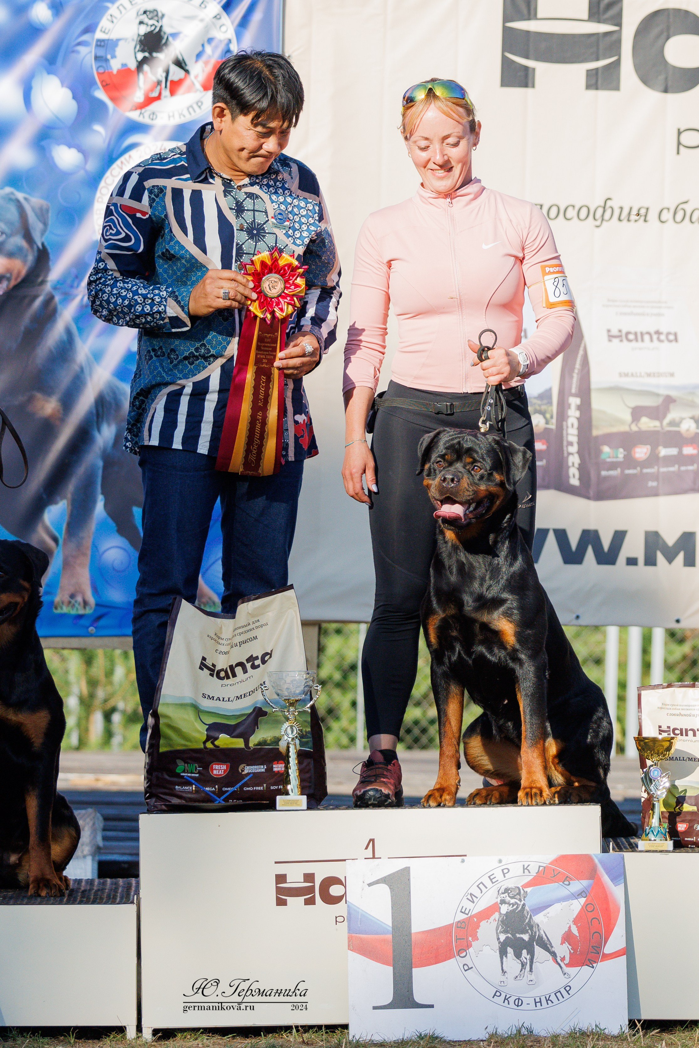 ПК и КЧК ротвейлеры Тверь 6-7.07.2024. Фотограф-анималист Юлия Германика