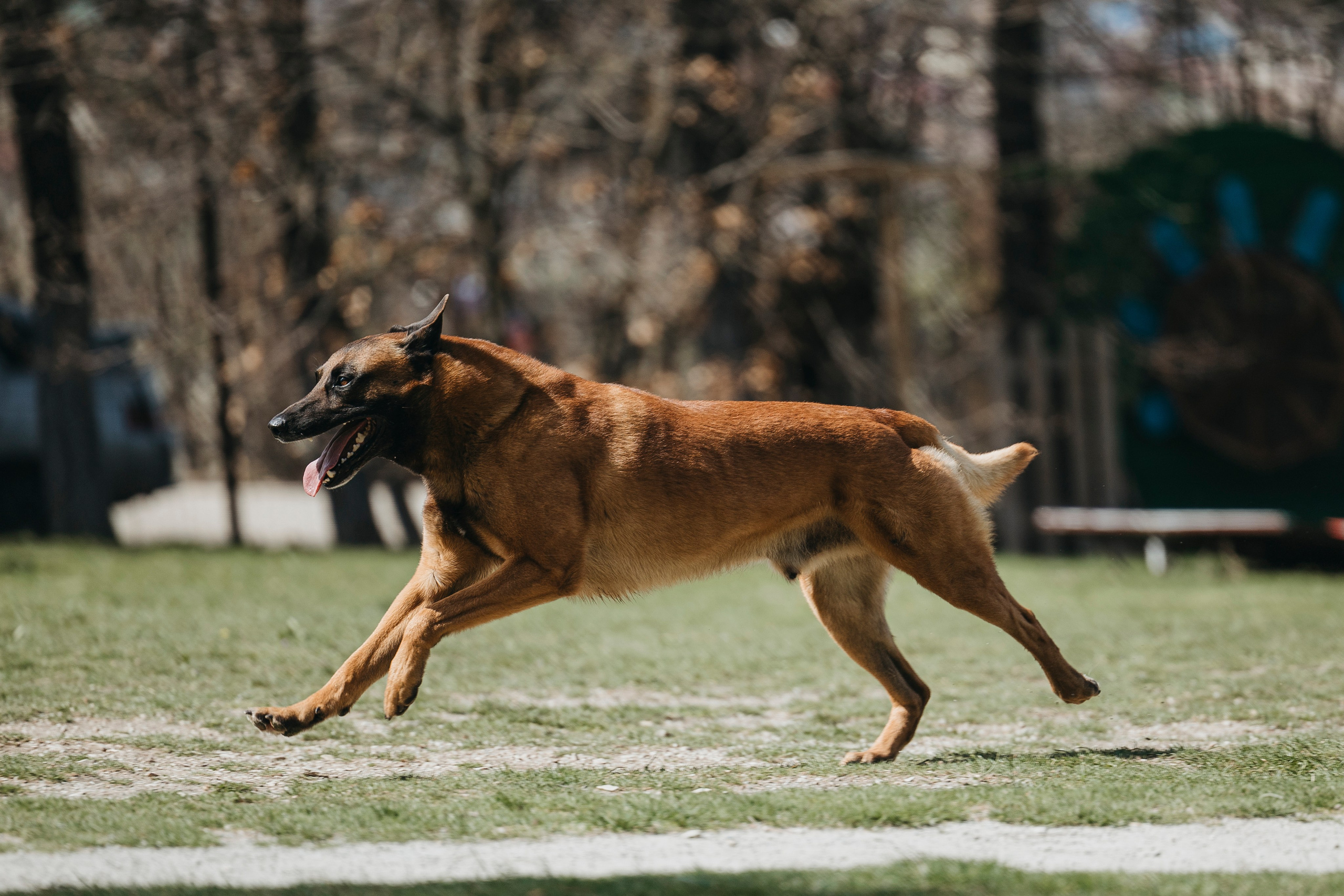 Геленджик Мондьоринг. Фотограф-анималист Анна Маринич