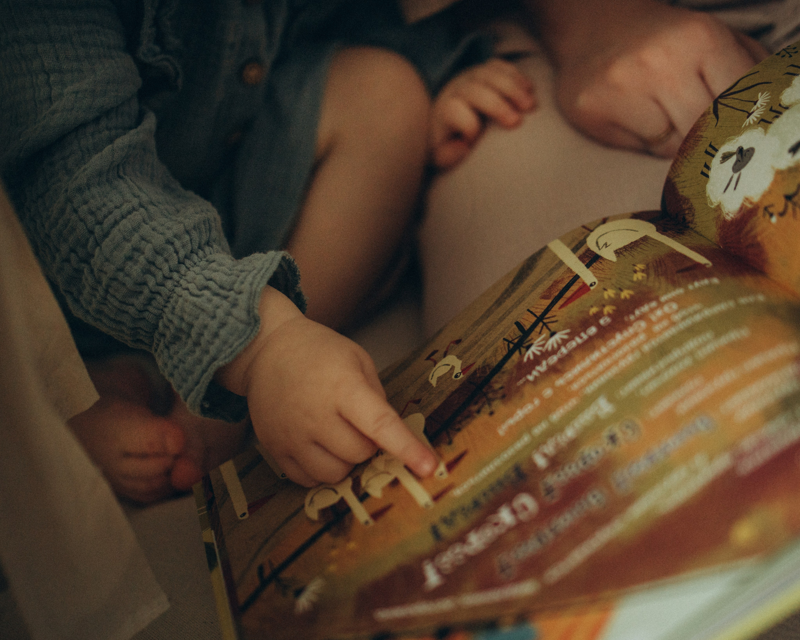 Домашняя семейная съемка под Новый год. Фотограф Углич и Ярославль Ольга Тятюшкина