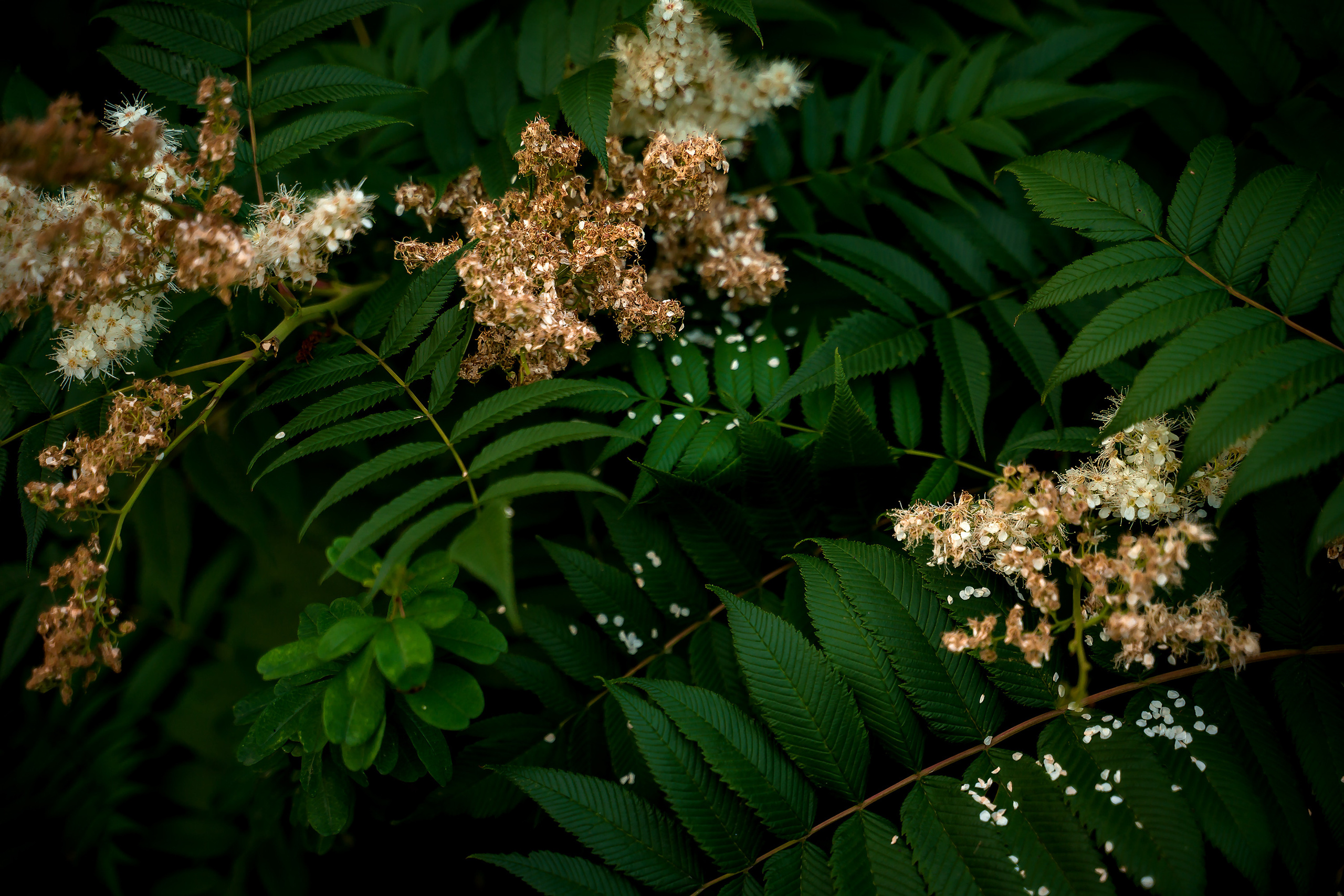 Контент-фотограф в Нижнем Новгороде Антошина Ольга
