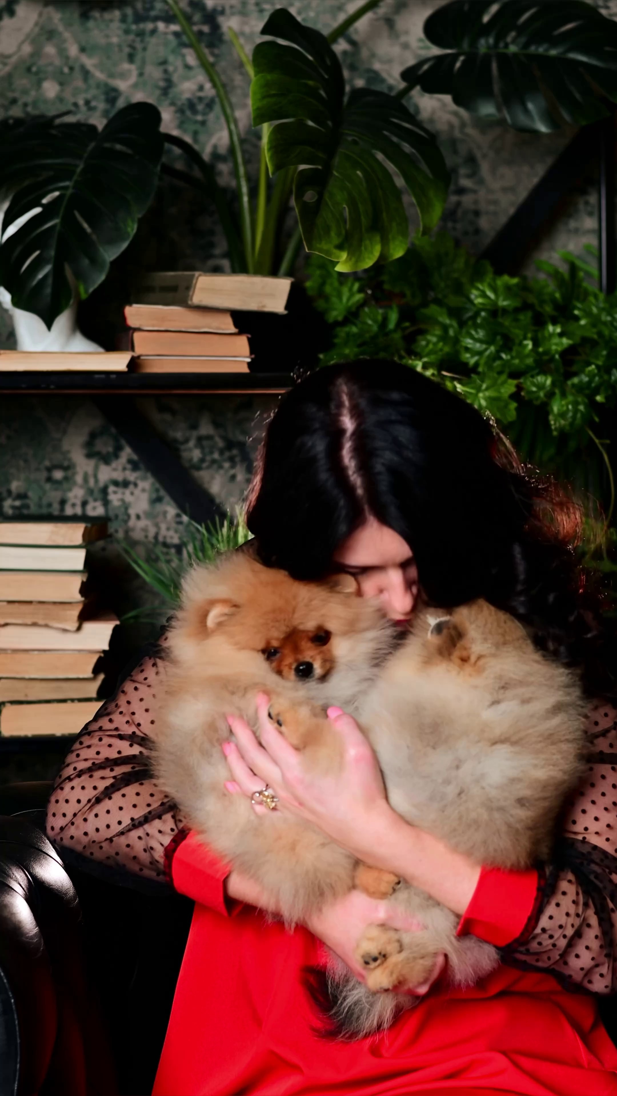 Видео маленькие круассанчики (щенки). Мила Астахова