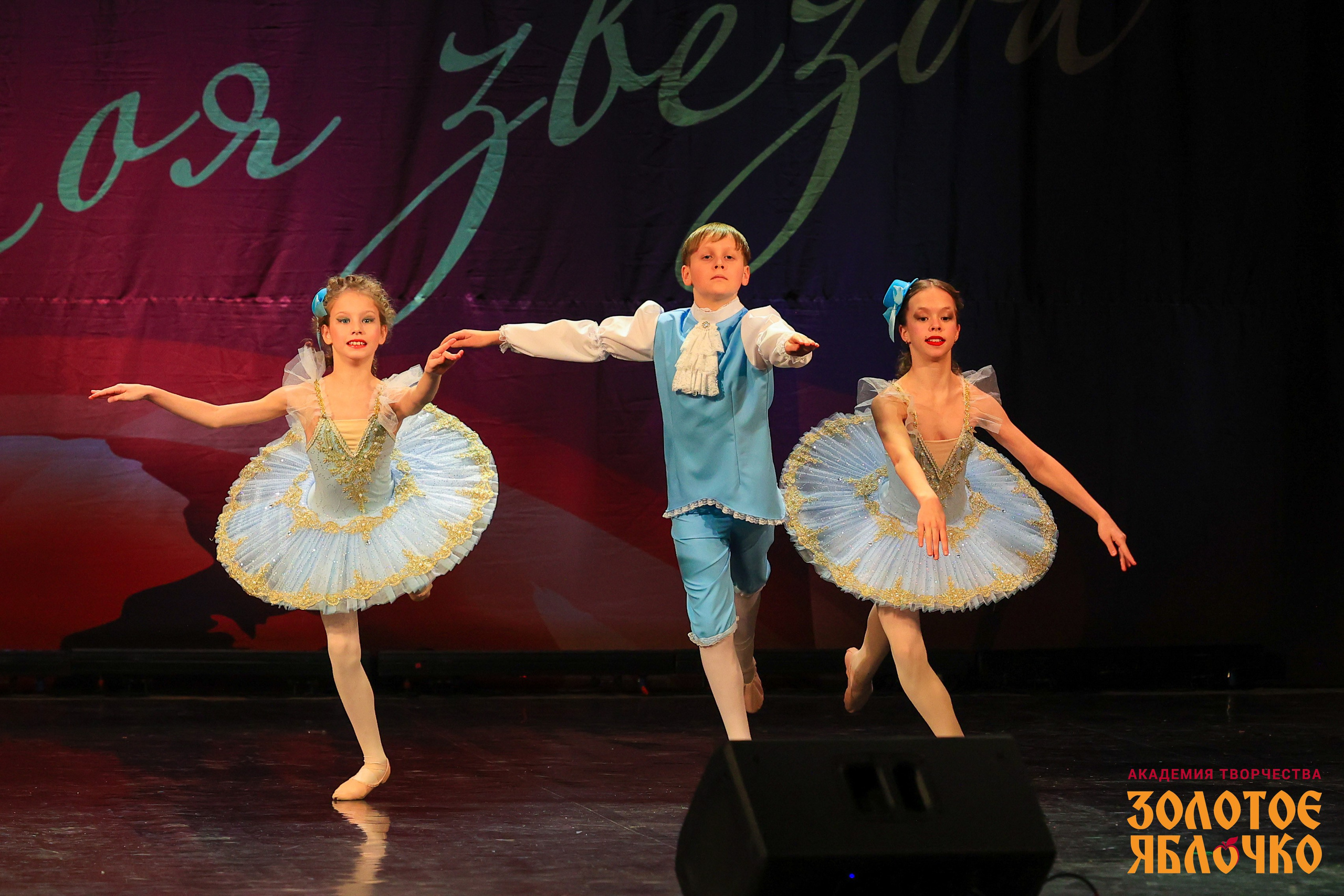 7 февраля, г. Петрозаводск. Золотое яблочко