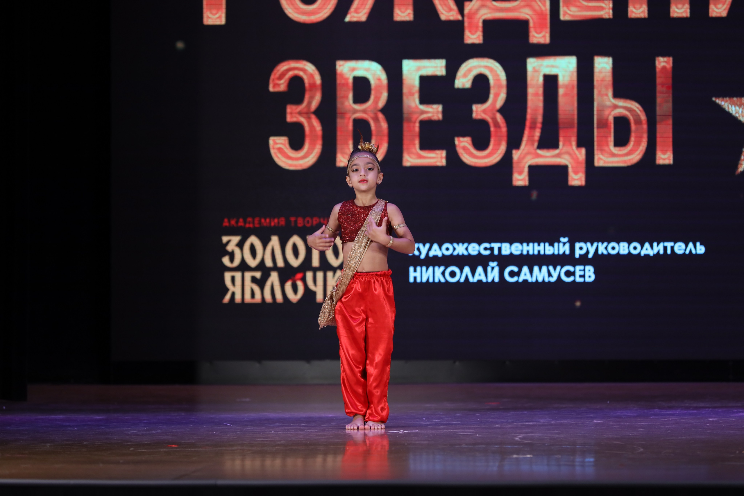 4 ноября, блок 1, видео, номера 14-29, г. Краснодар. Золотое яблочко