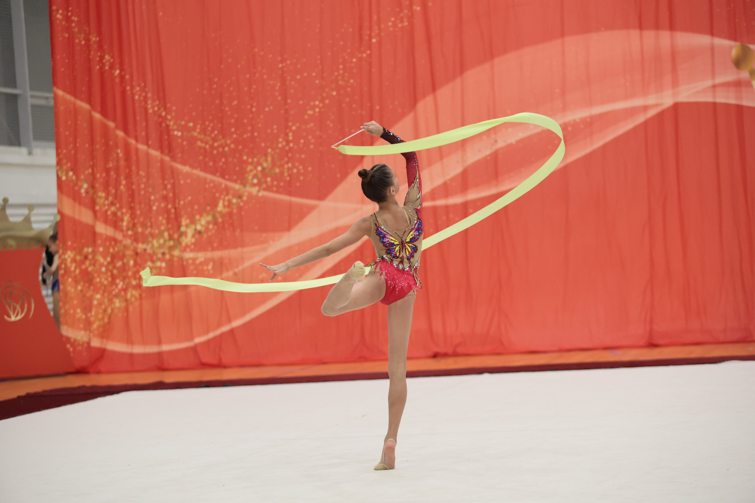 Профессиональная съемка гимнастического турнира в Пскове. Портретный Фотограф Александр «Konevtsoph» В Санкт-Петербурге