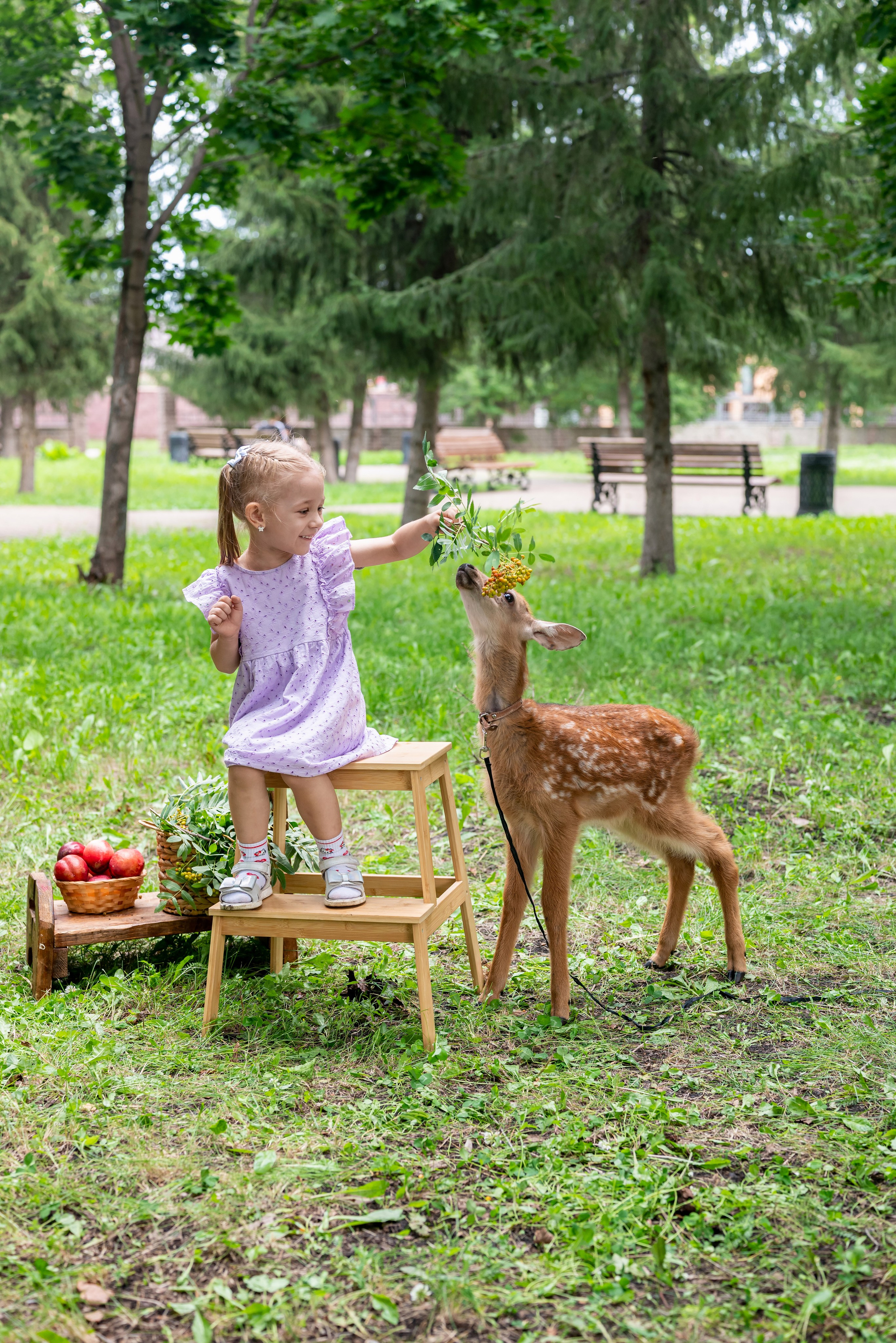 Фотопроект *Оленёнок Бэмби*. Фотограф в городе Салават