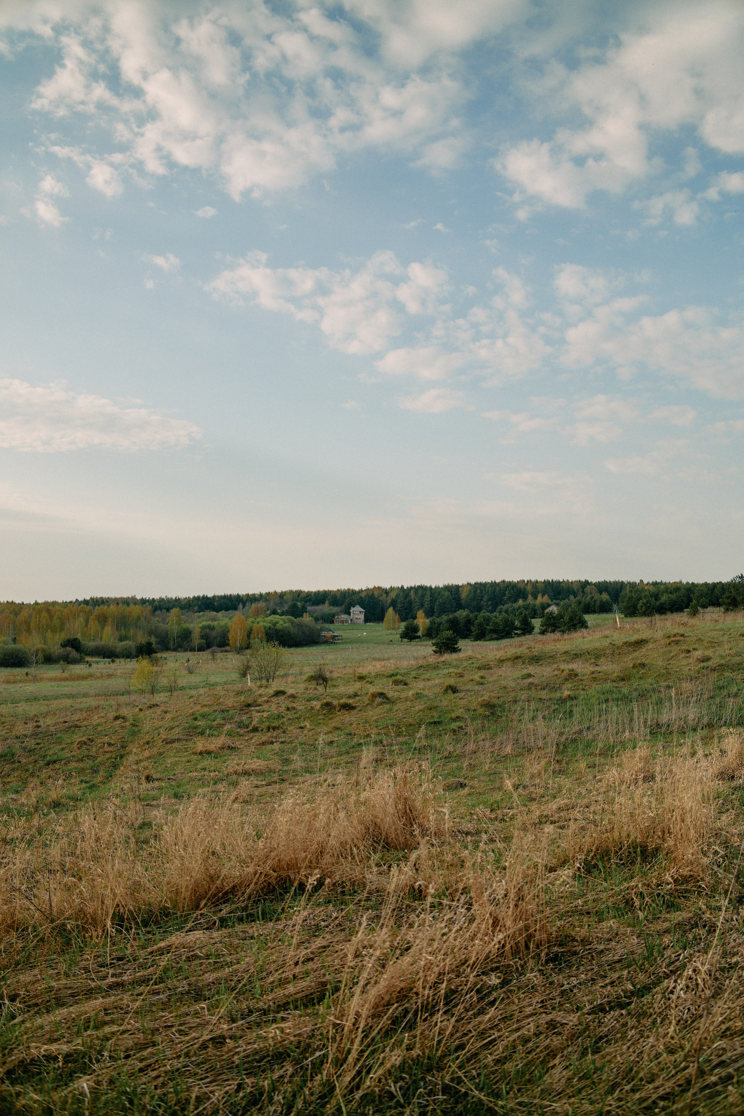 Бутик-отель Поле летом. Профессиональный Фотограф во Владимире, в Москве и в Суздале — Полина Романычева