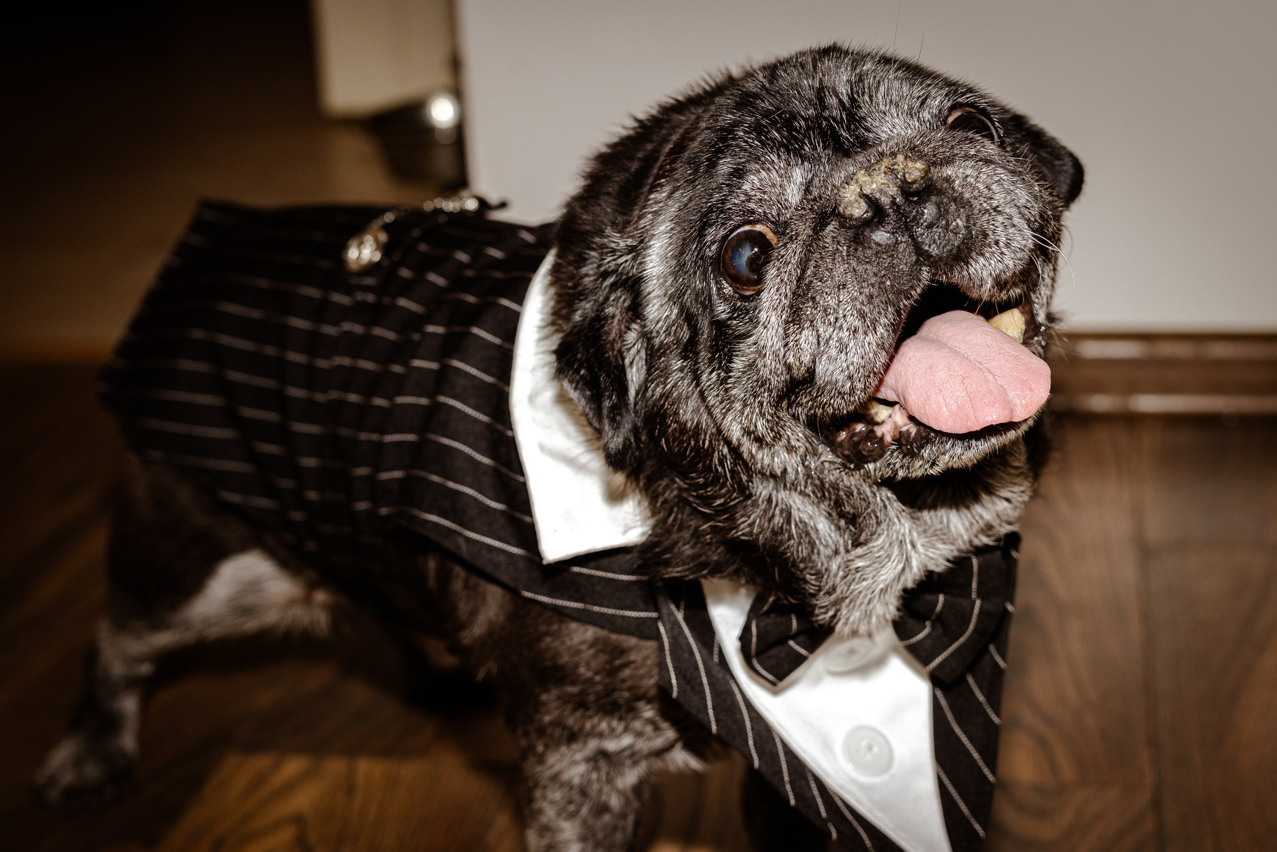 Свадьба Ксении и Думитру. Виктория Зудина — фотограф в Москве