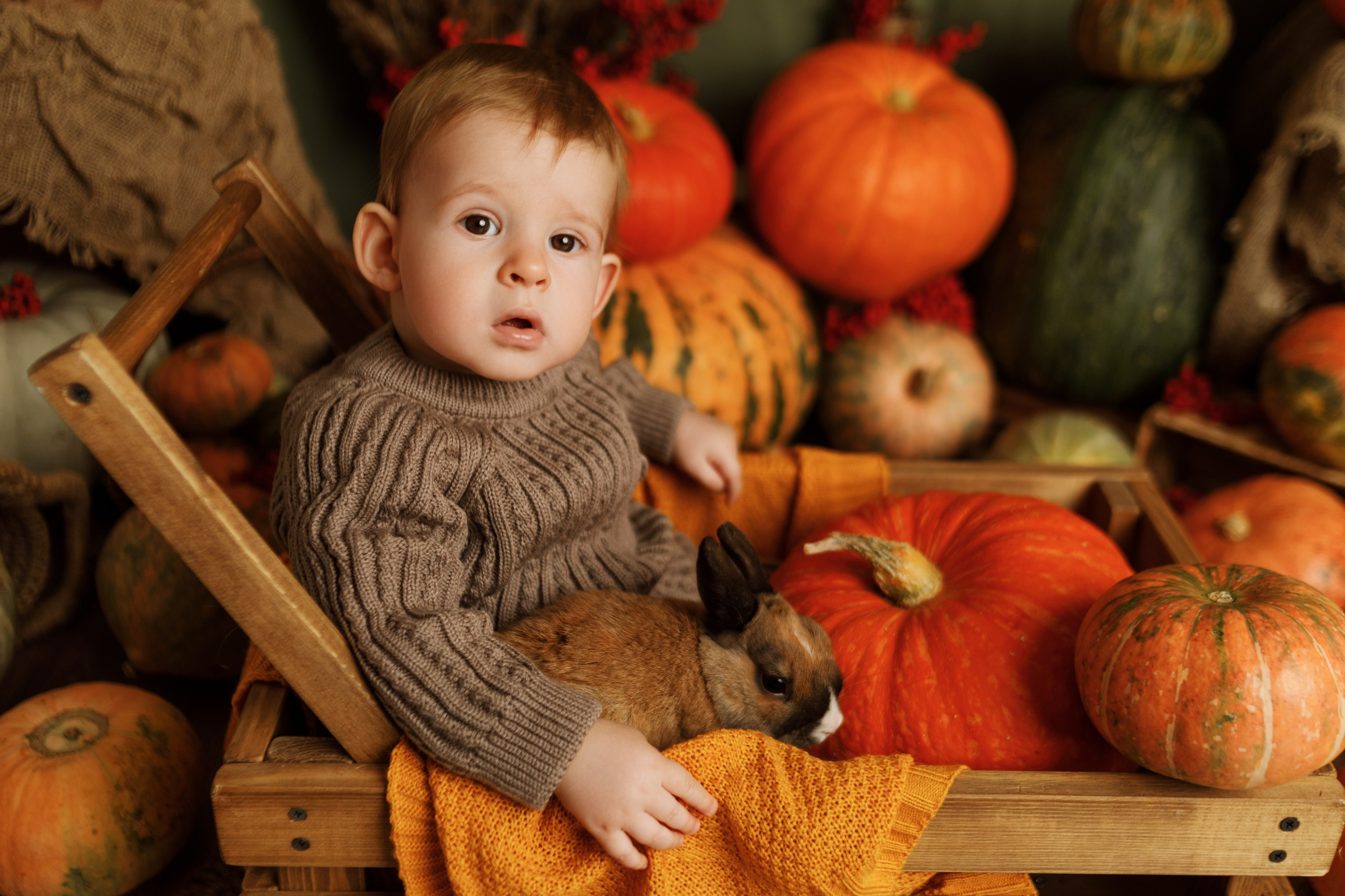 Фотопроекты. Фотограф новорождённых семейный фотограф Томск Елена Каплина