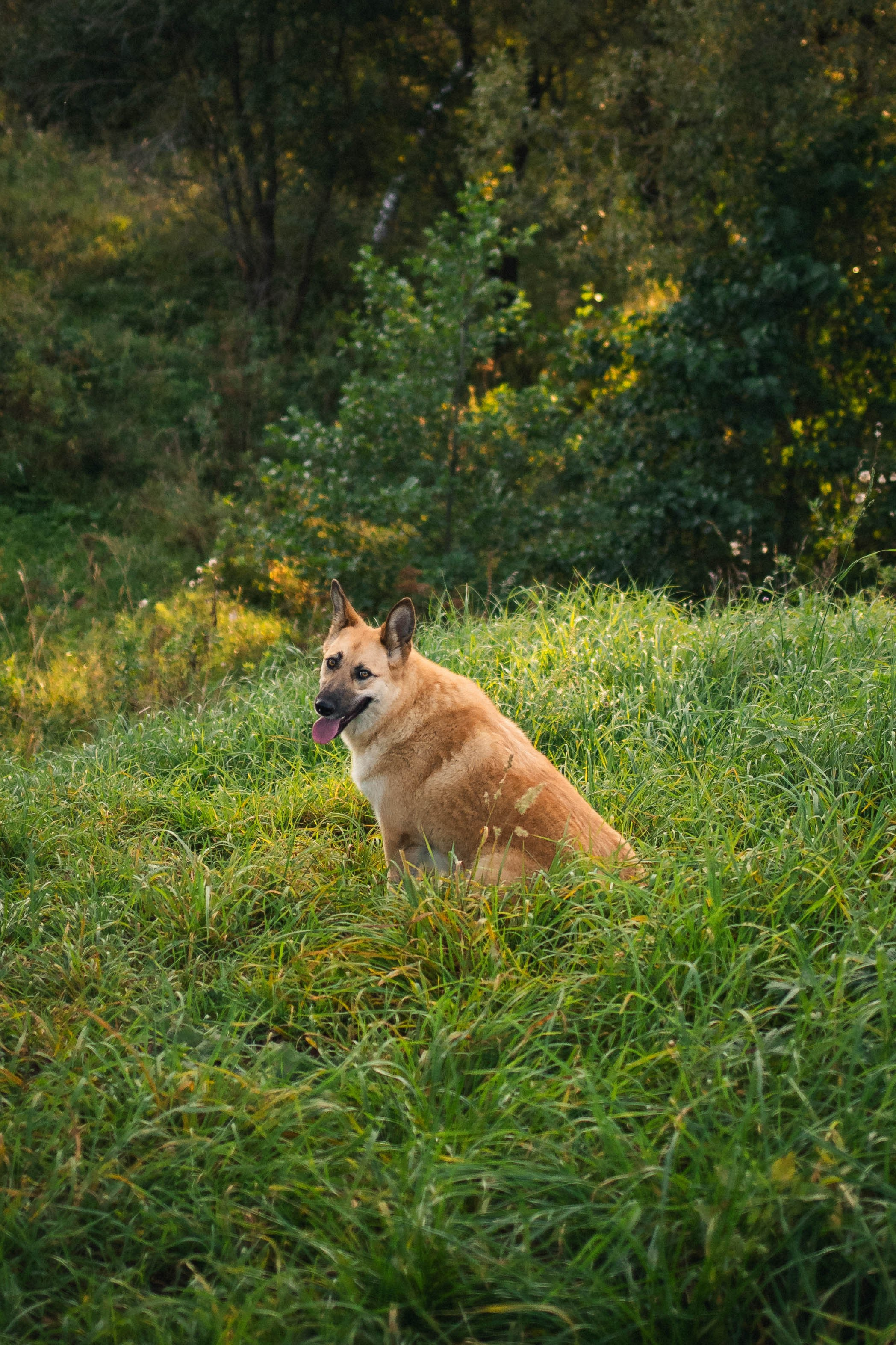 Альбом2. Фотограф Мария Сургаева | Профессиональная фотосъемка в Москве