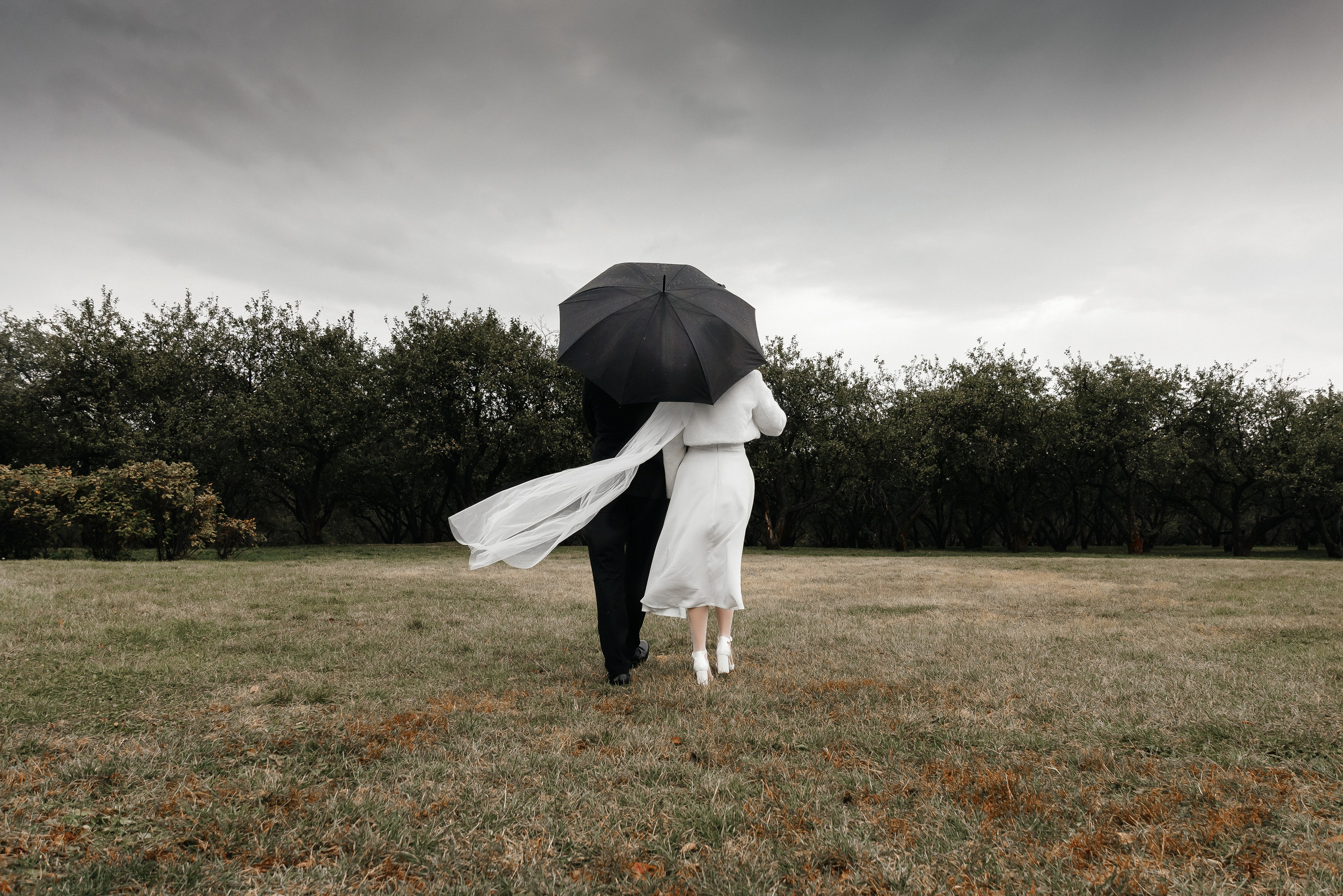 Свадьба. Свадебный фотограф Сергей Глобенко