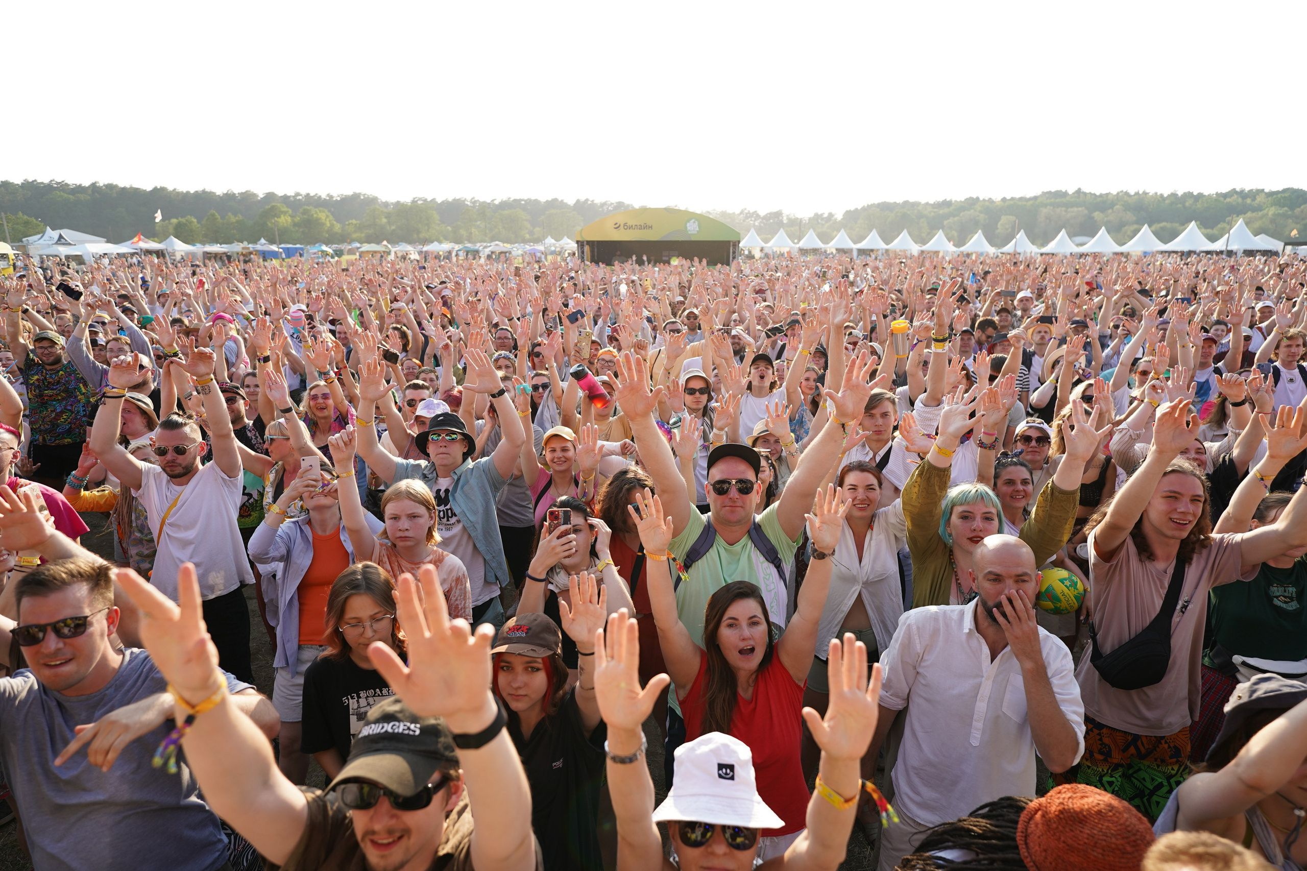 2023 Дикая Мята. Фотограф Николай Прокофьев модельные тесты в Москве