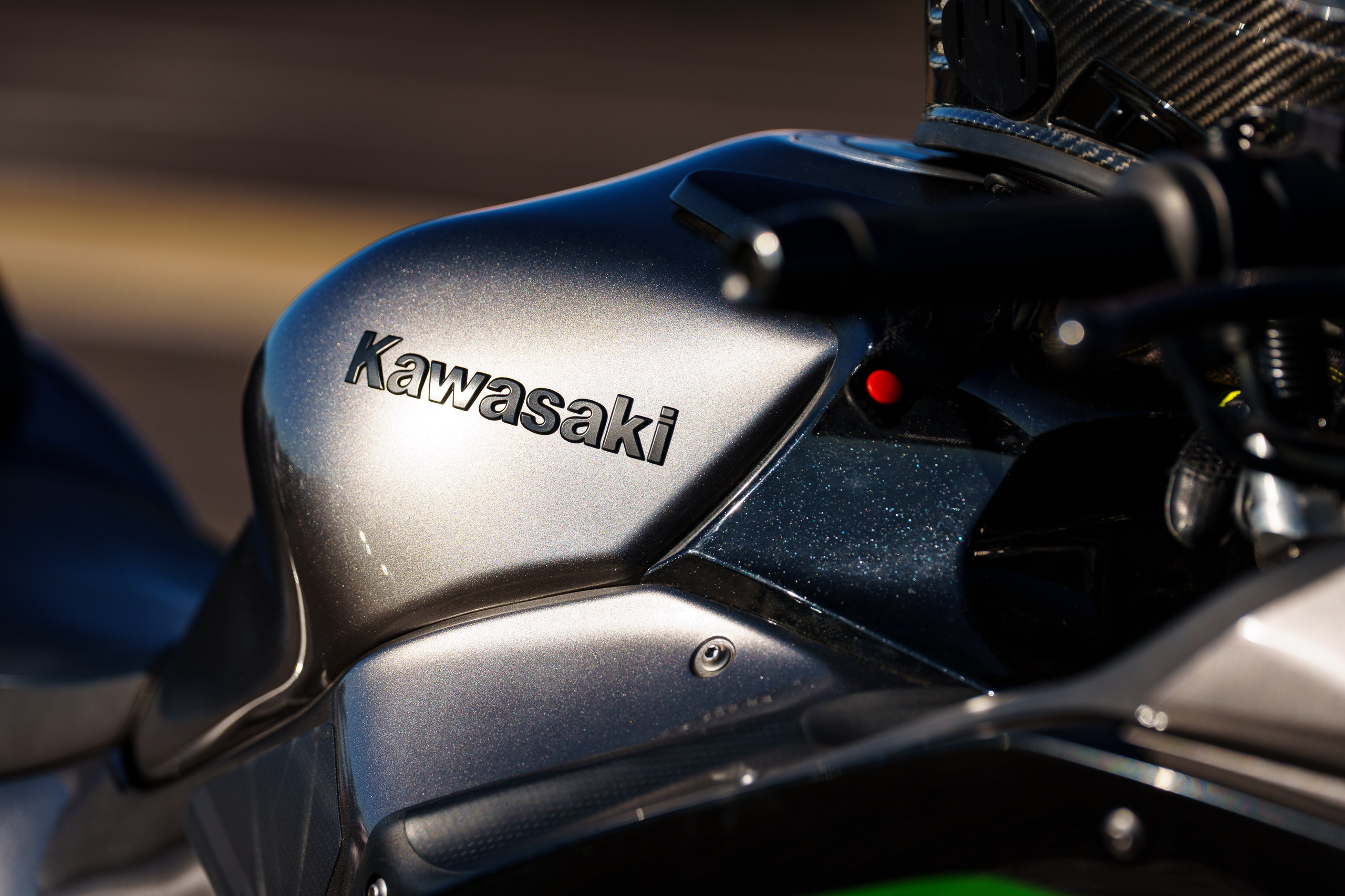 2024 RDRC Records Day. Фотограф Николай Прокофьев модельные тесты в Москве