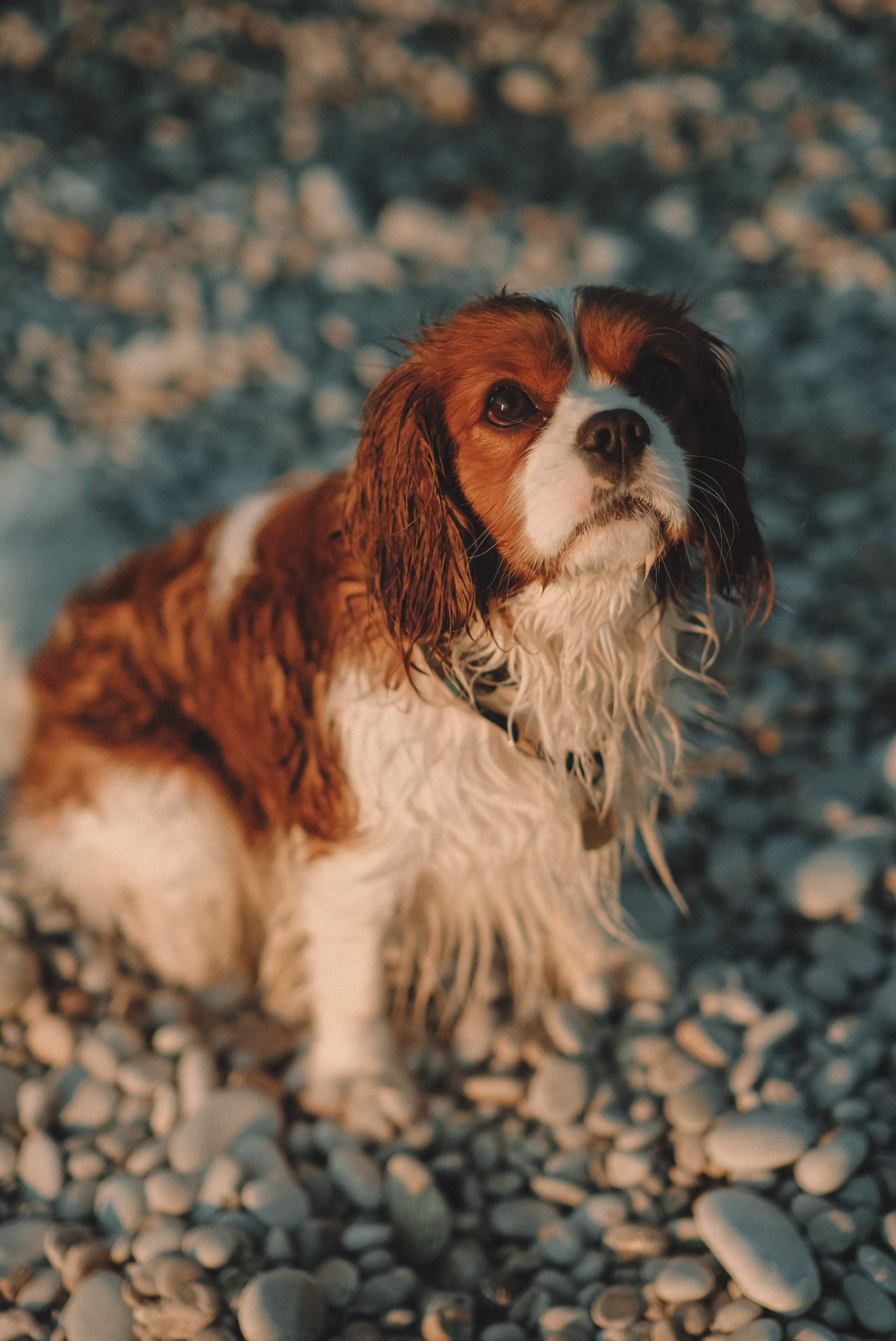 Альбом 15. Фотограф Катерина Мартьянова Санкт-Петербург