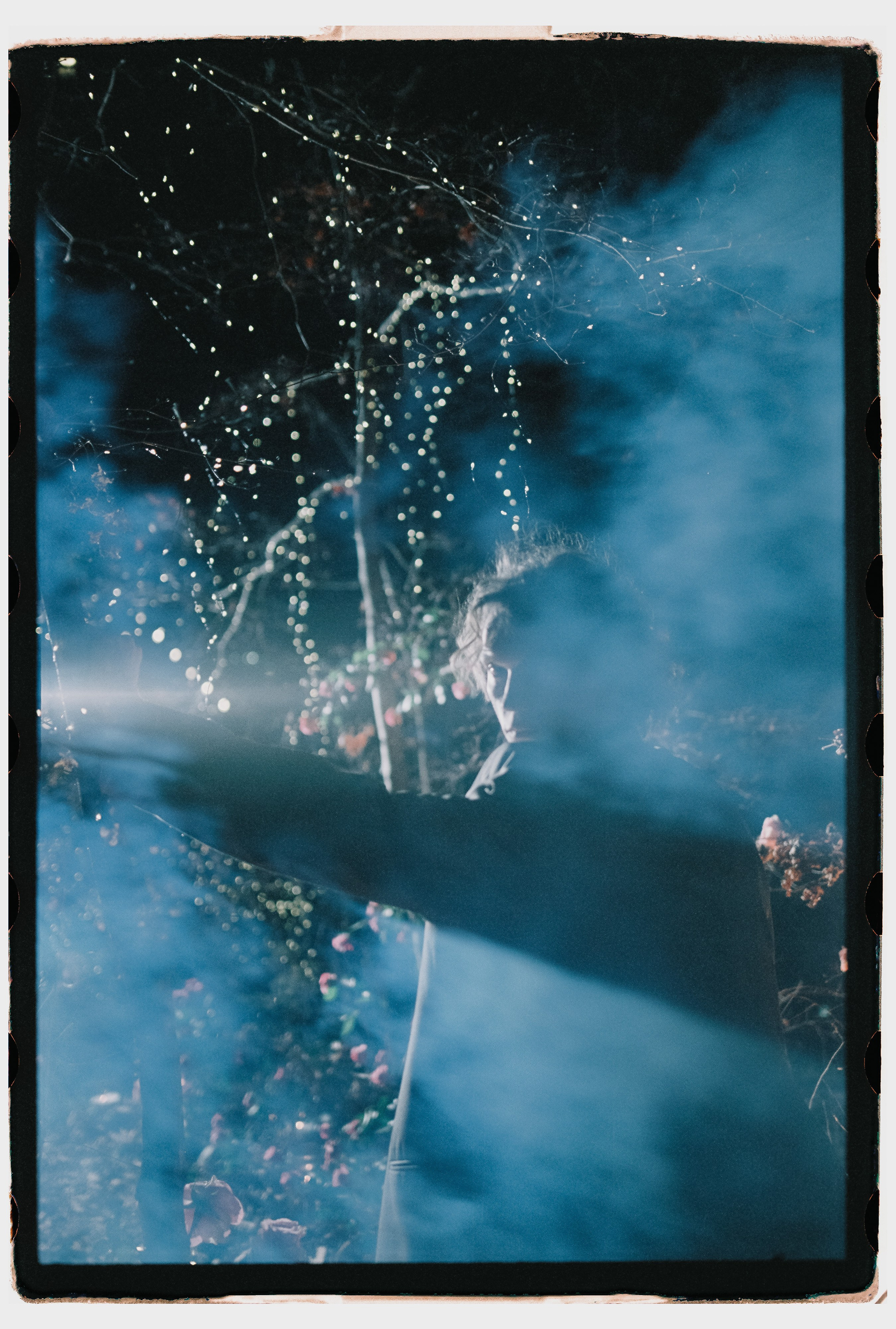 Лесной променад