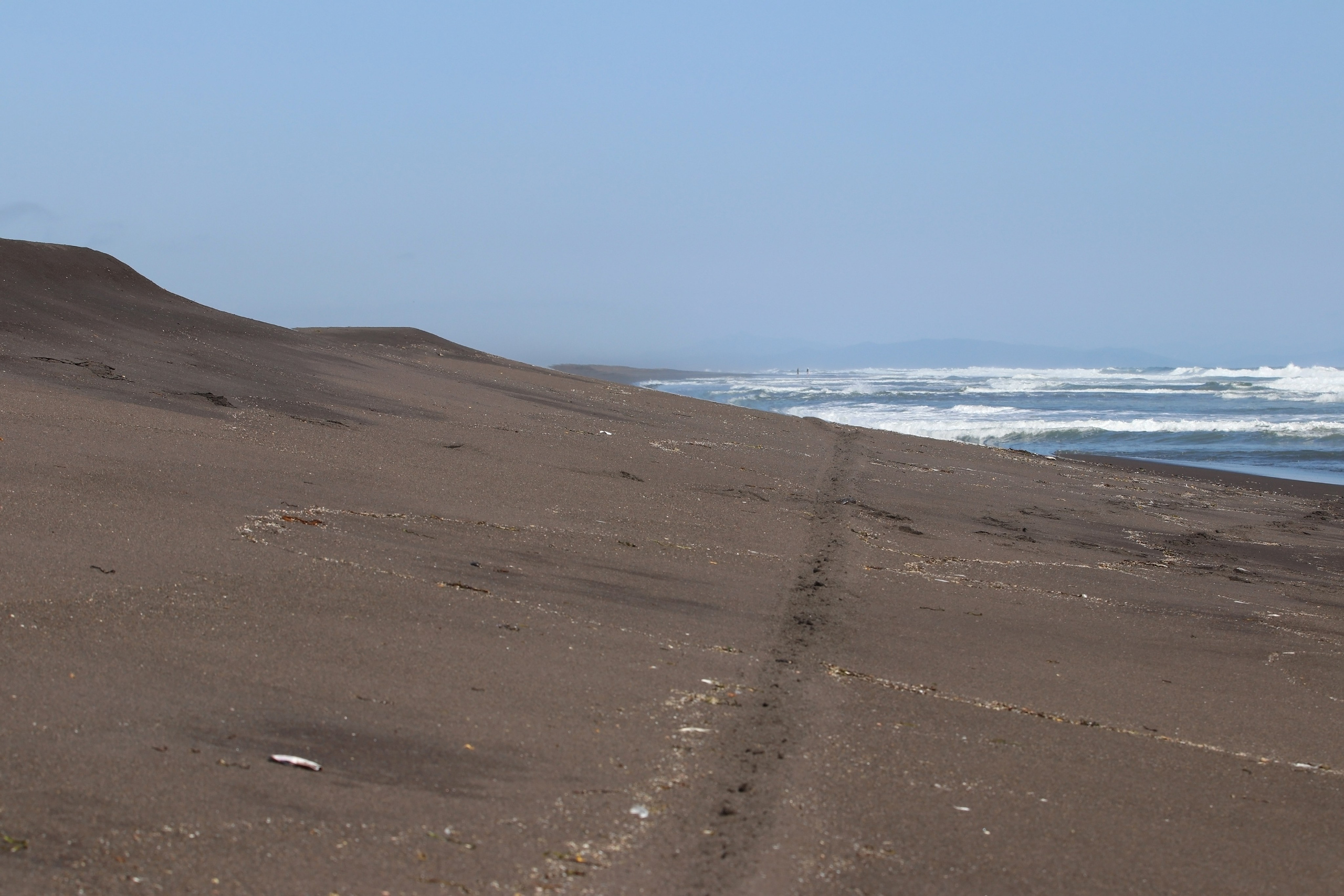 Камчатка и о. Парамушир. Июль 2024. Путешественник-фотограф из Санкт-Петербурга Татьяна Свистулина