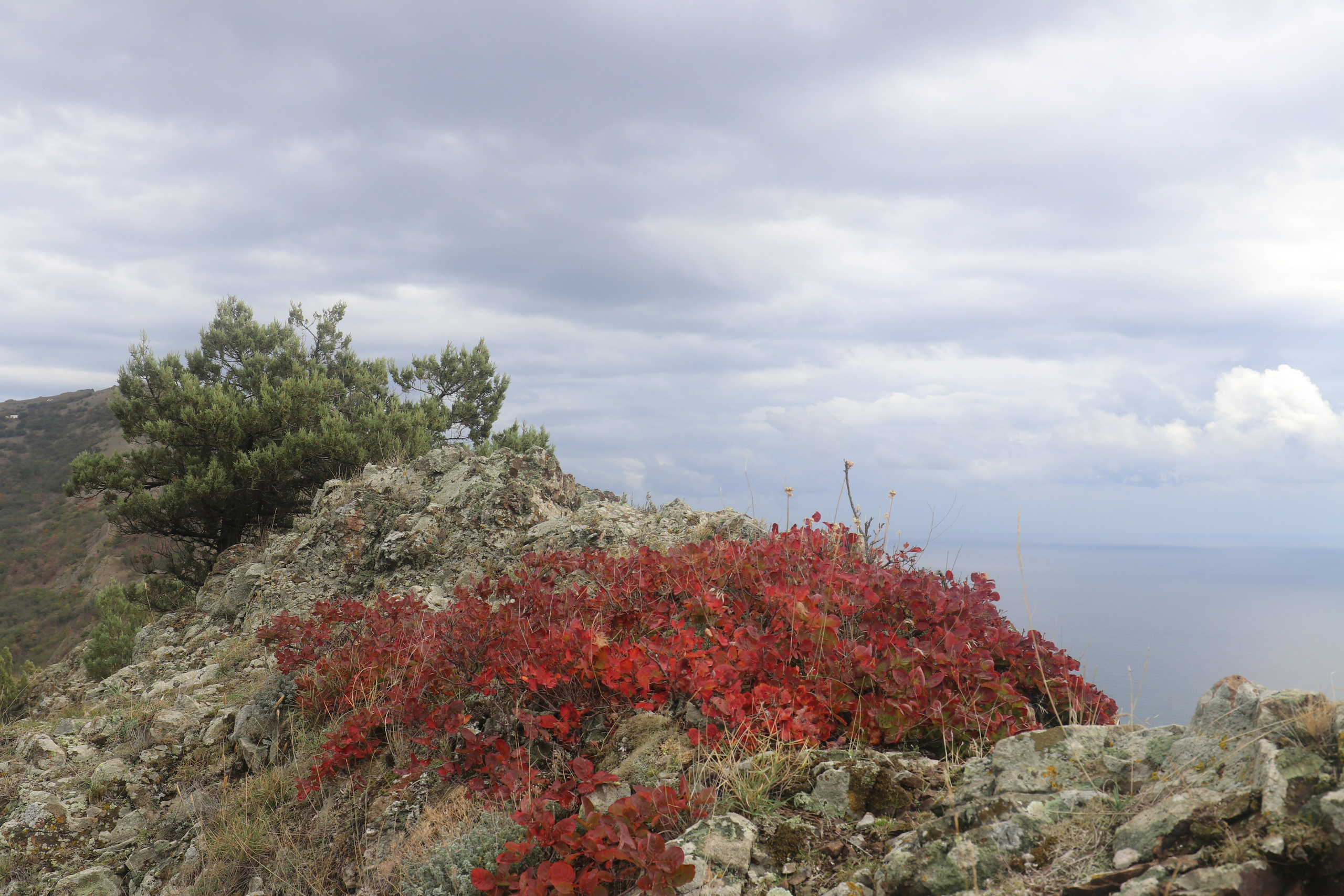 Крым. ЮБК (Судак, Карадаг). Ноябрь 2020. Путешественник-фотограф из Санкт-Петербурга Татьяна Свистулина