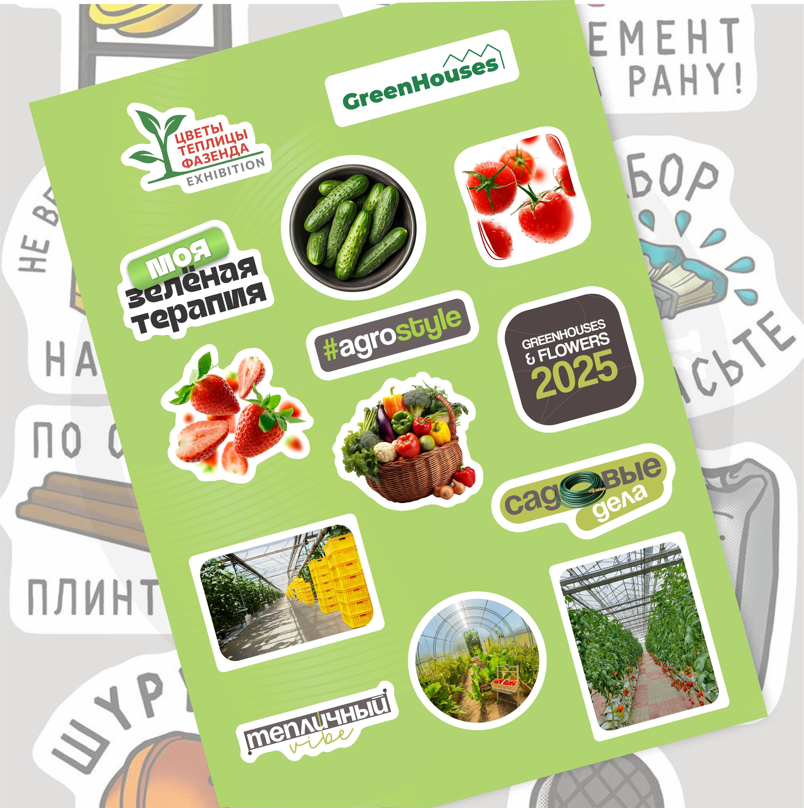 Стикерпак. Фотограф в Жезказгане. Графический дизайнер