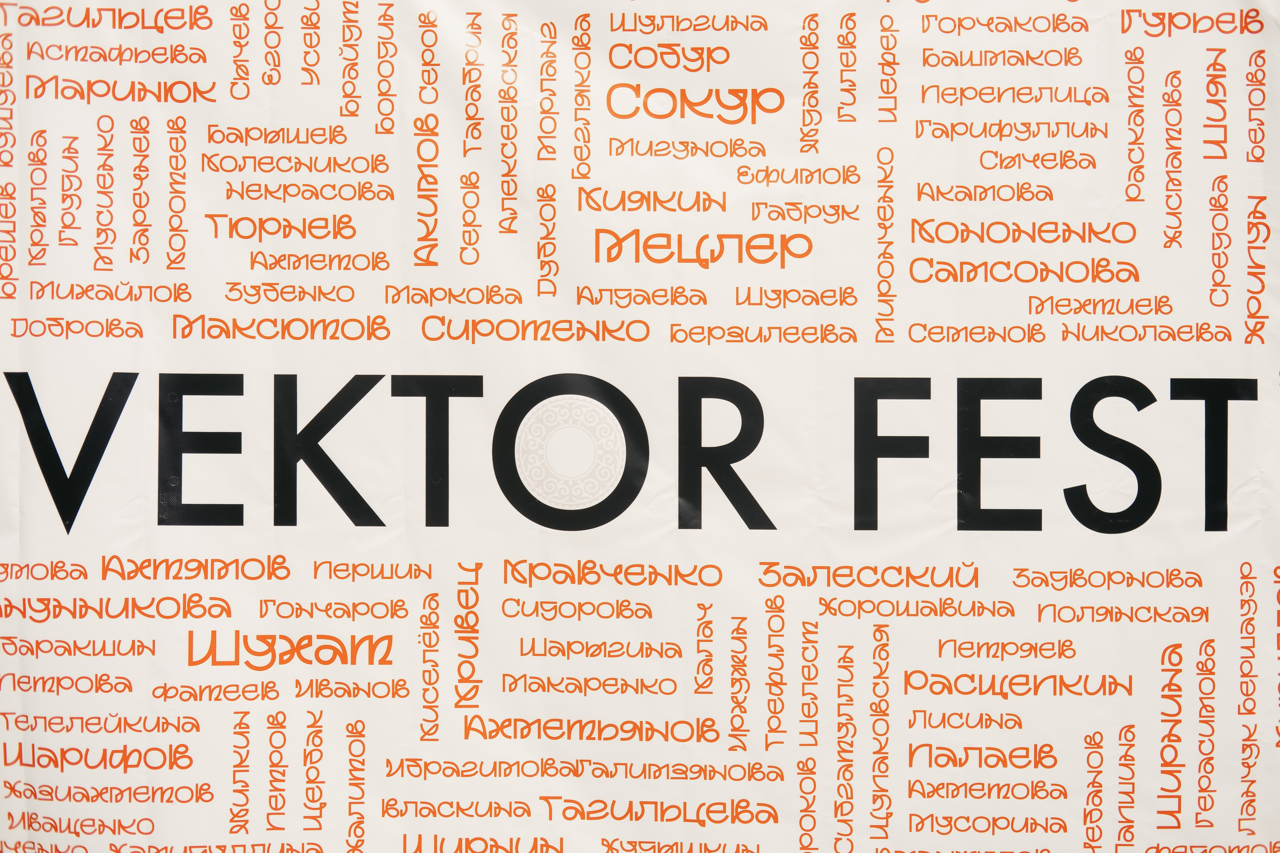 VECTOR FEST. Обо мне