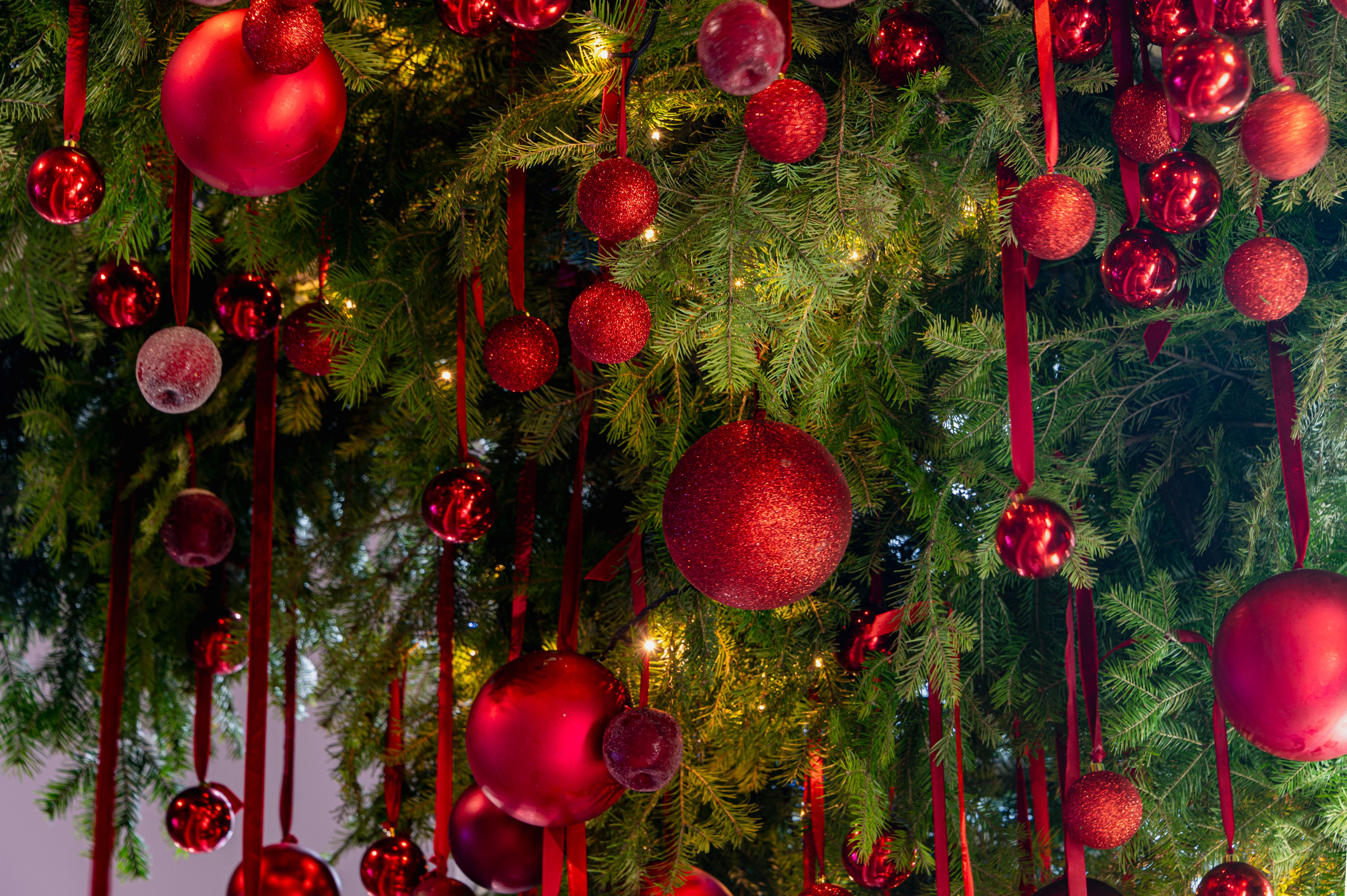 Нижний Новгород. Январь 2024. Фотограф Роман Адлер