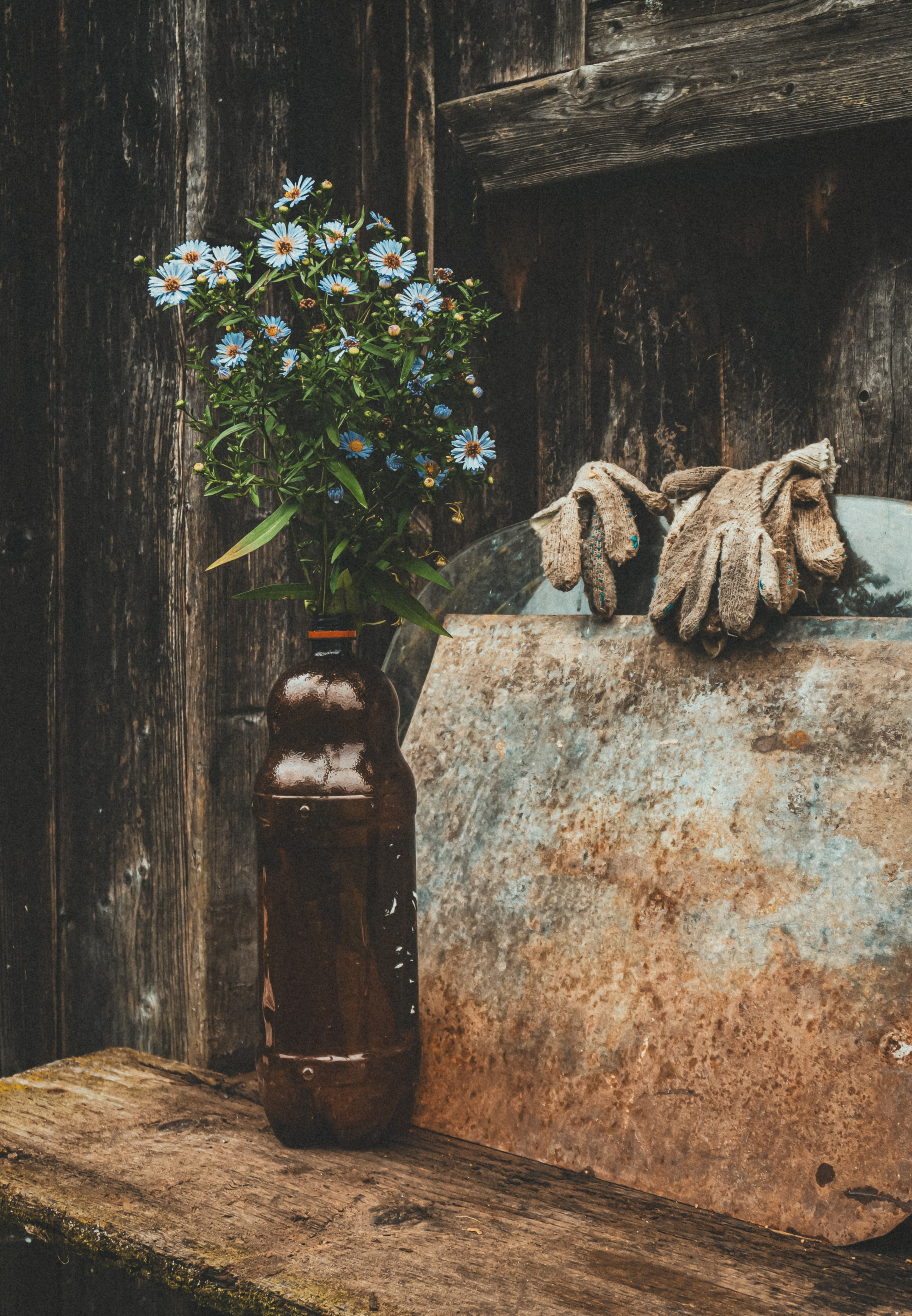 Уличная съемка. Фотограф и оператор Илья Гунбин