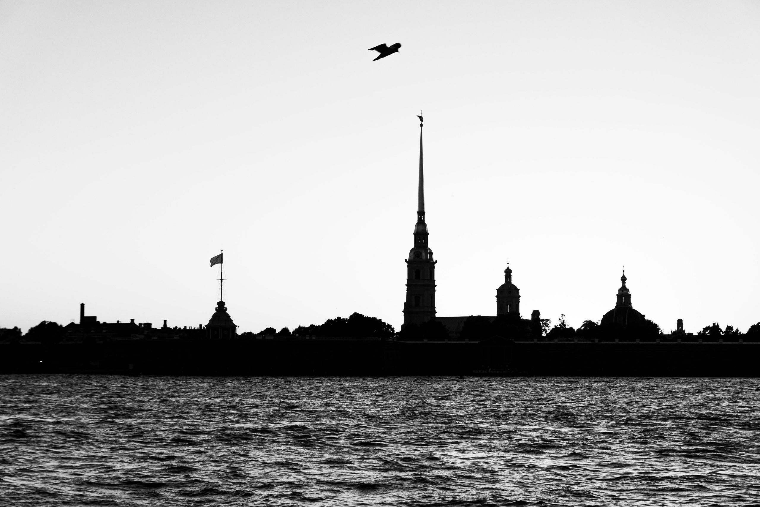 Уличная съемка. Фотограф и оператор Илья Гунбин