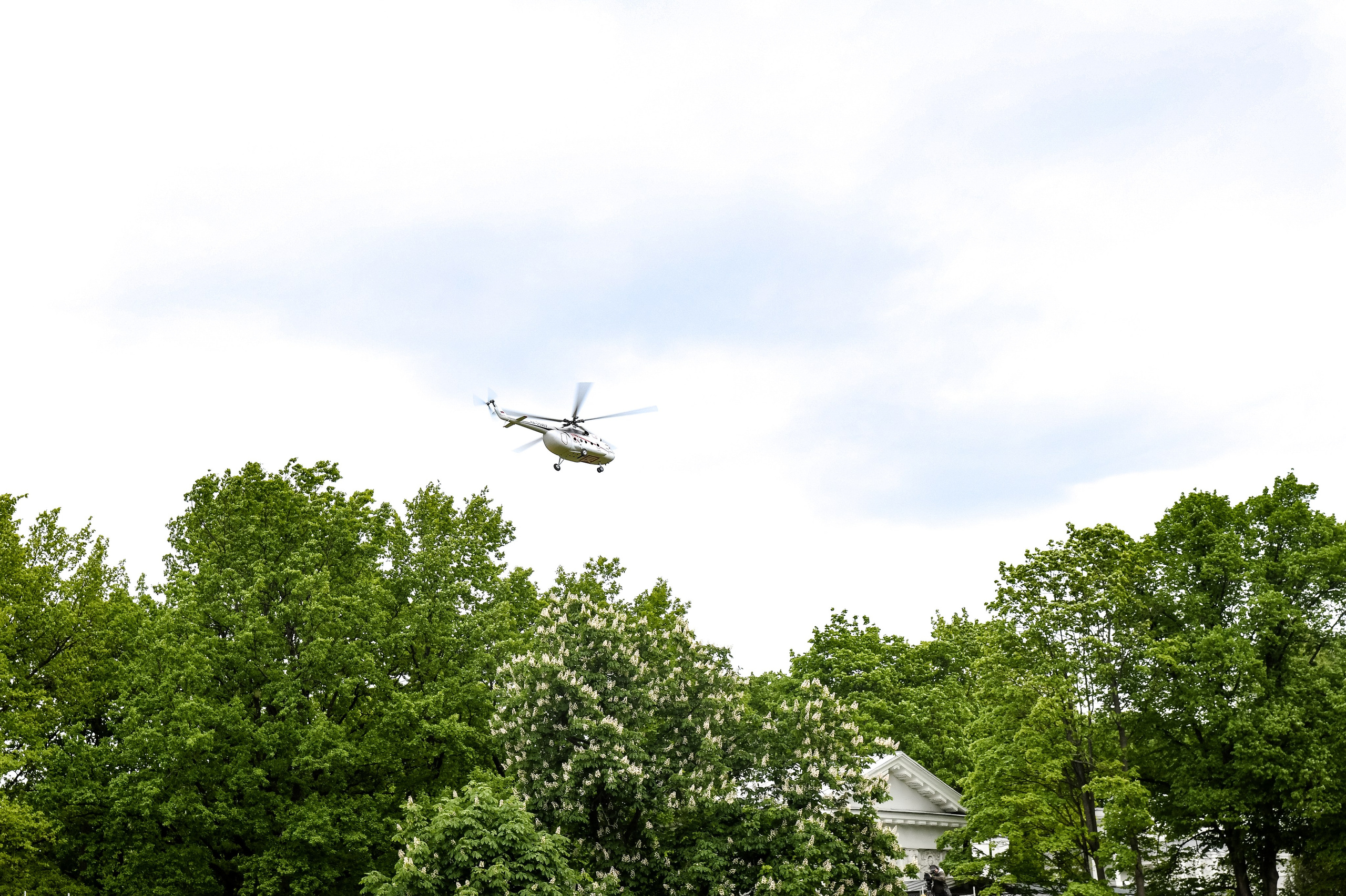 1 июня 2025 год Елагин слёт. ОЛЕСЯ ШАФЕРОВА / ВАШ ФОТОГРАФ в Санкт-Петербурге