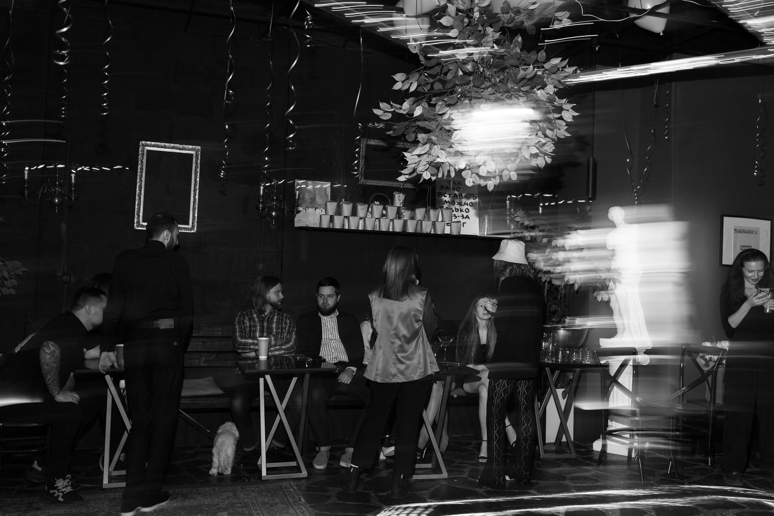 Правда Бар. Свадебный фотограф | Москва