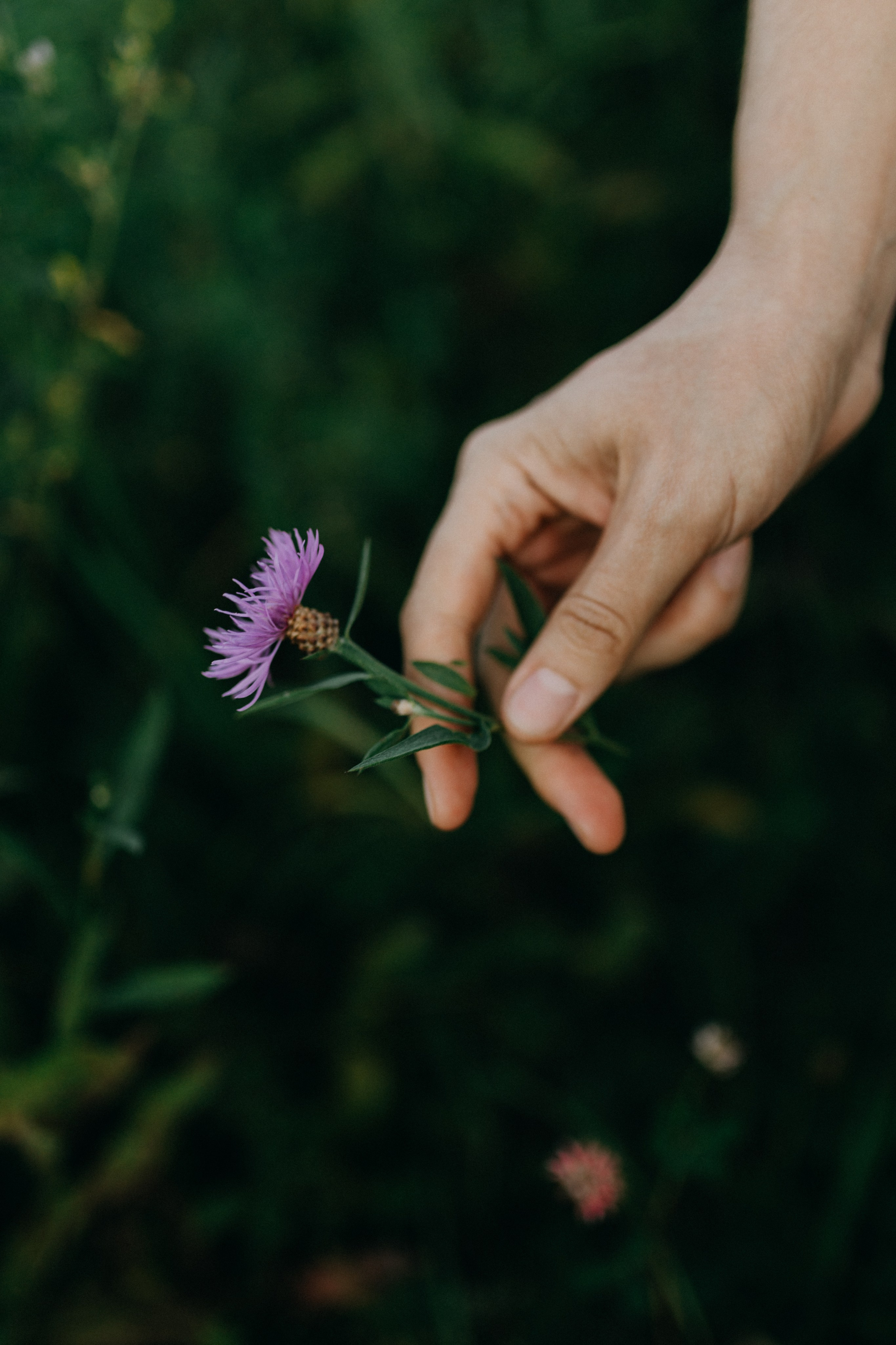 Анастасия. Фотограф НОГИНСК, Москва, Анастасия Белая