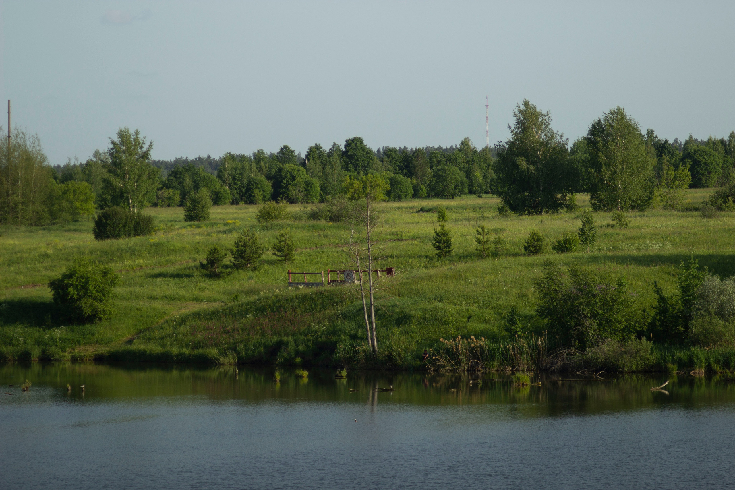 Sweetgirl. Фотограф Димитровград Казань Валерия Владимиркина