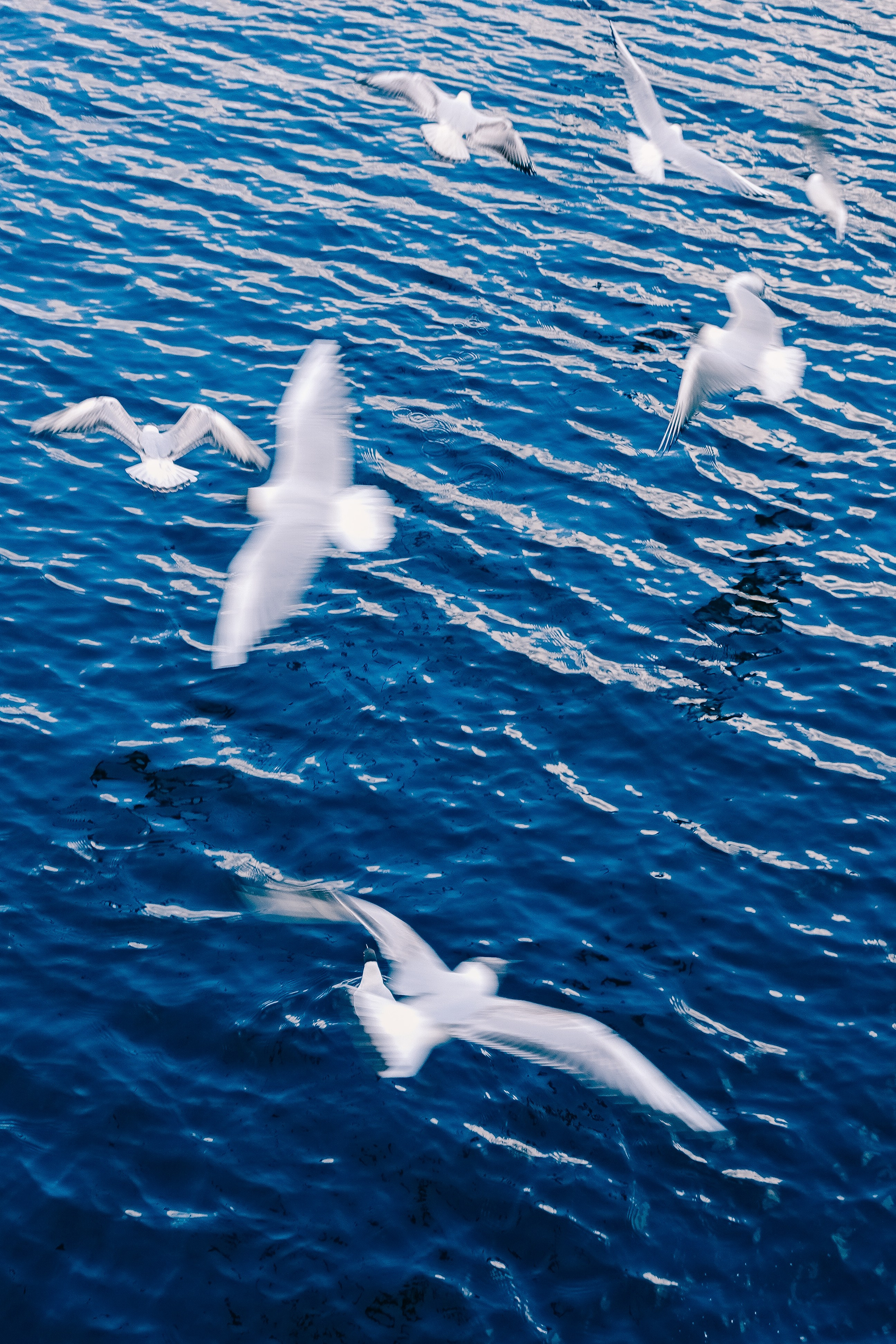 Выборг. Фотограф Алиса Аспер