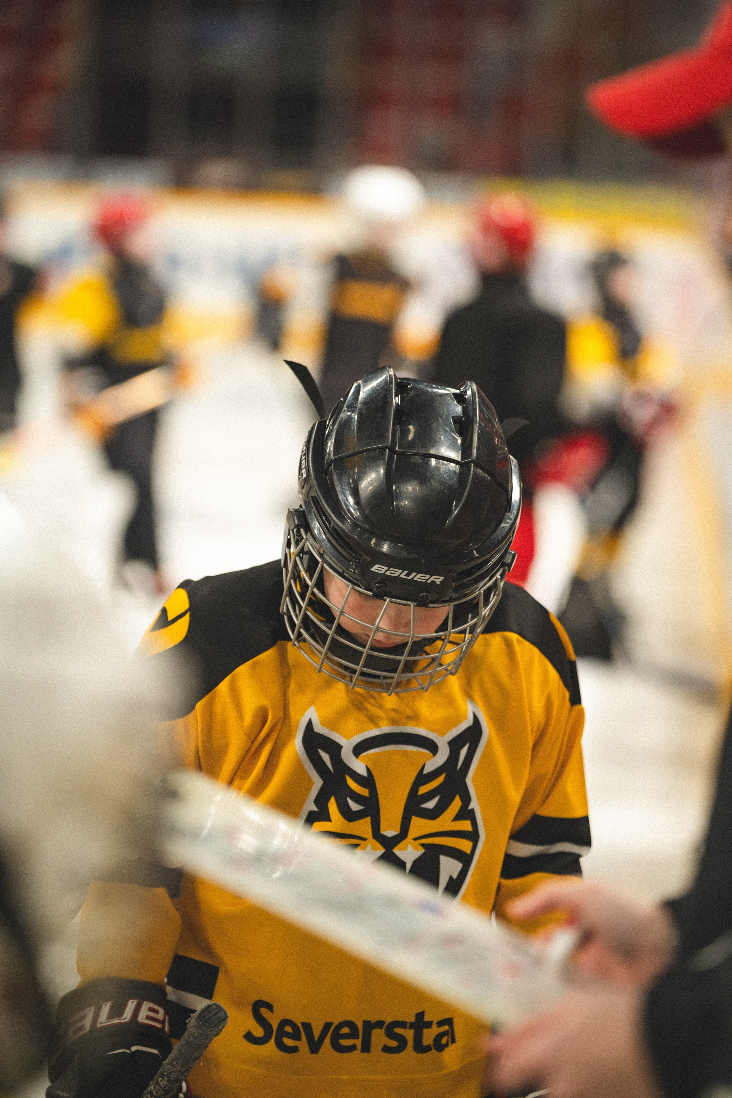 ХК Северсталь (младшая группа). Череповец. Zekons. Фото, видео, нейросети