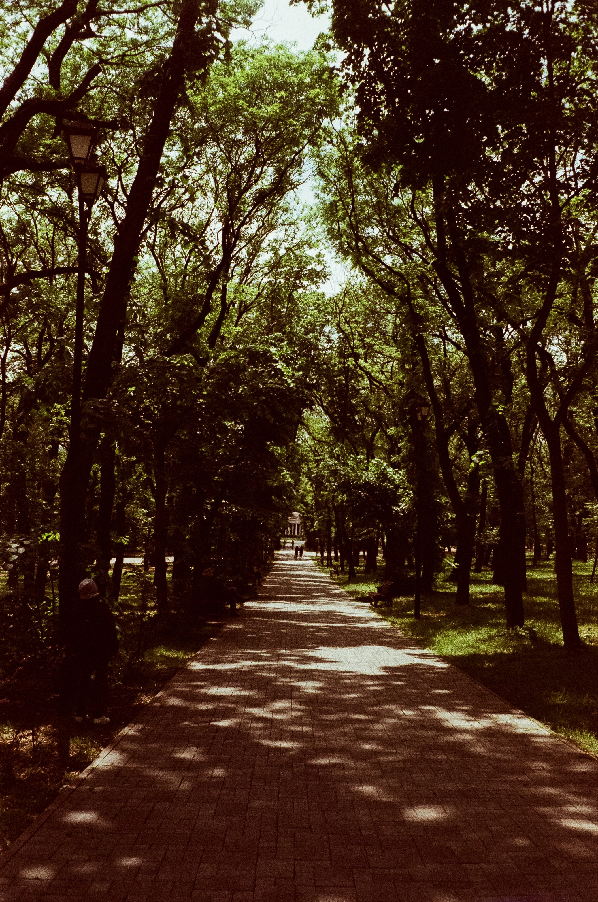 Ессентуки прогулка по городу / Minox 35GT / Agfa Vista 400 (просрочка)