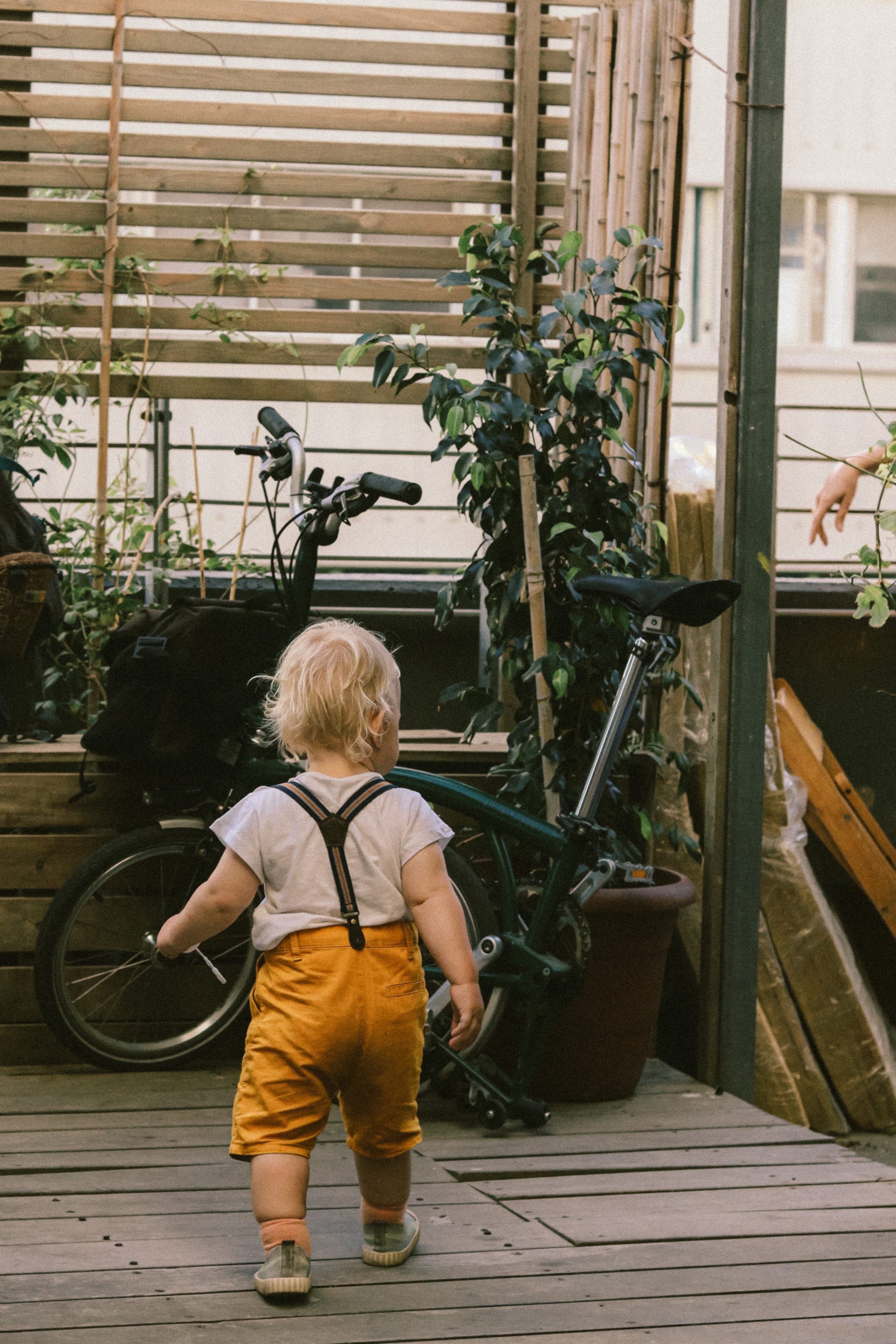 Chance4life («Фонарь») Market, Tel Aviv, June 2023. Photographer in Israel Alice Milchin