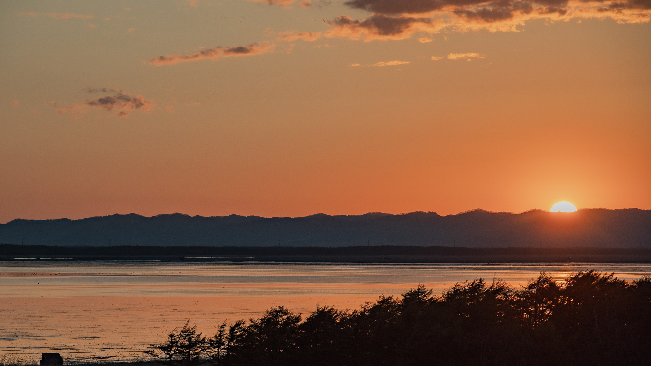 О.Сахалин. Фотограф. г. Южно-Сахалинск. Олег Толстов