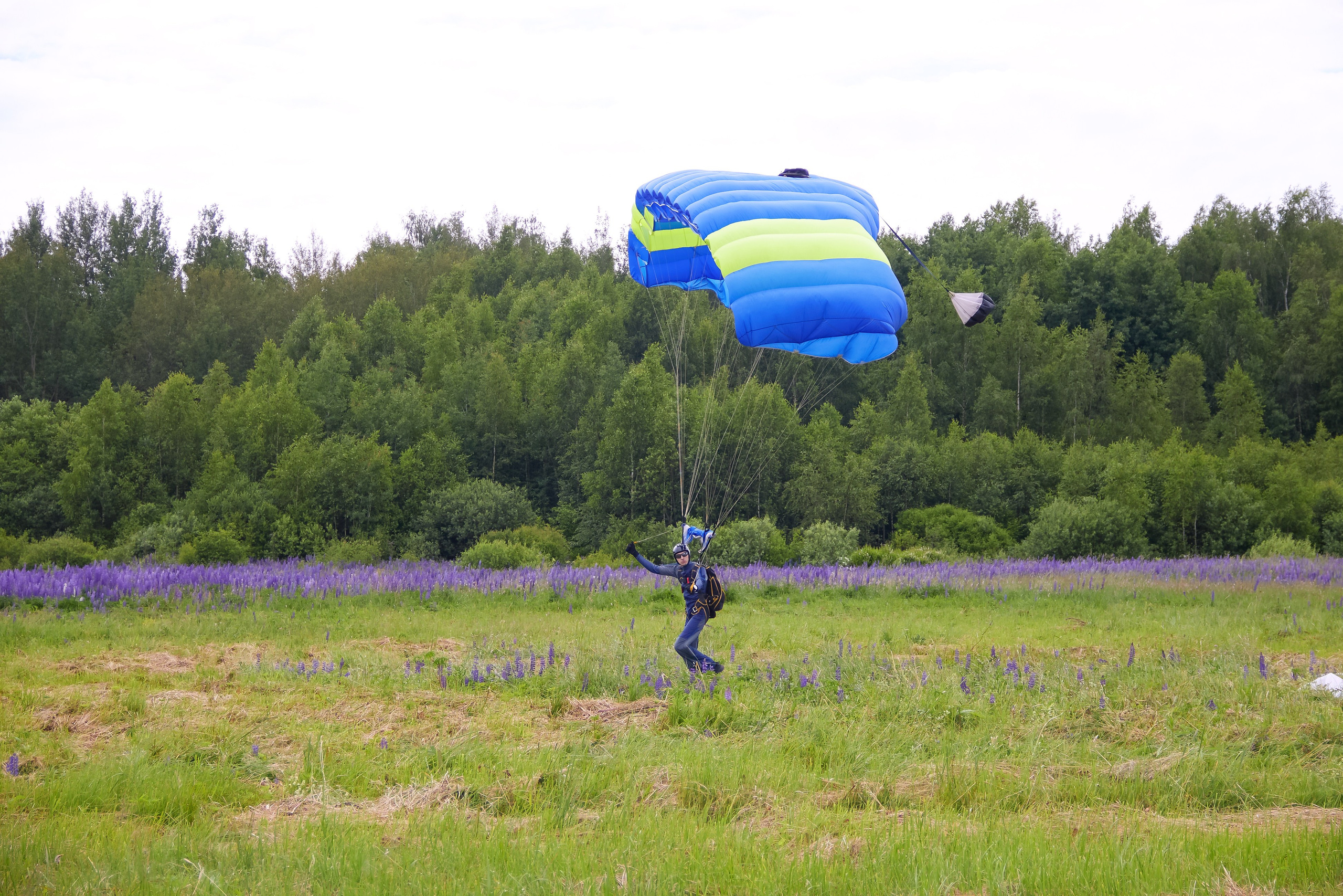 Аэроклуб SkyLine. Фотограф в Смоленске Ася Польшина