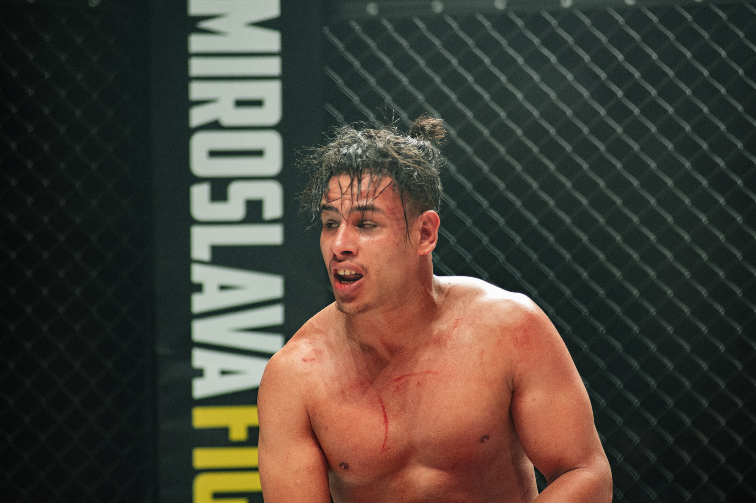 Miroslava Fight