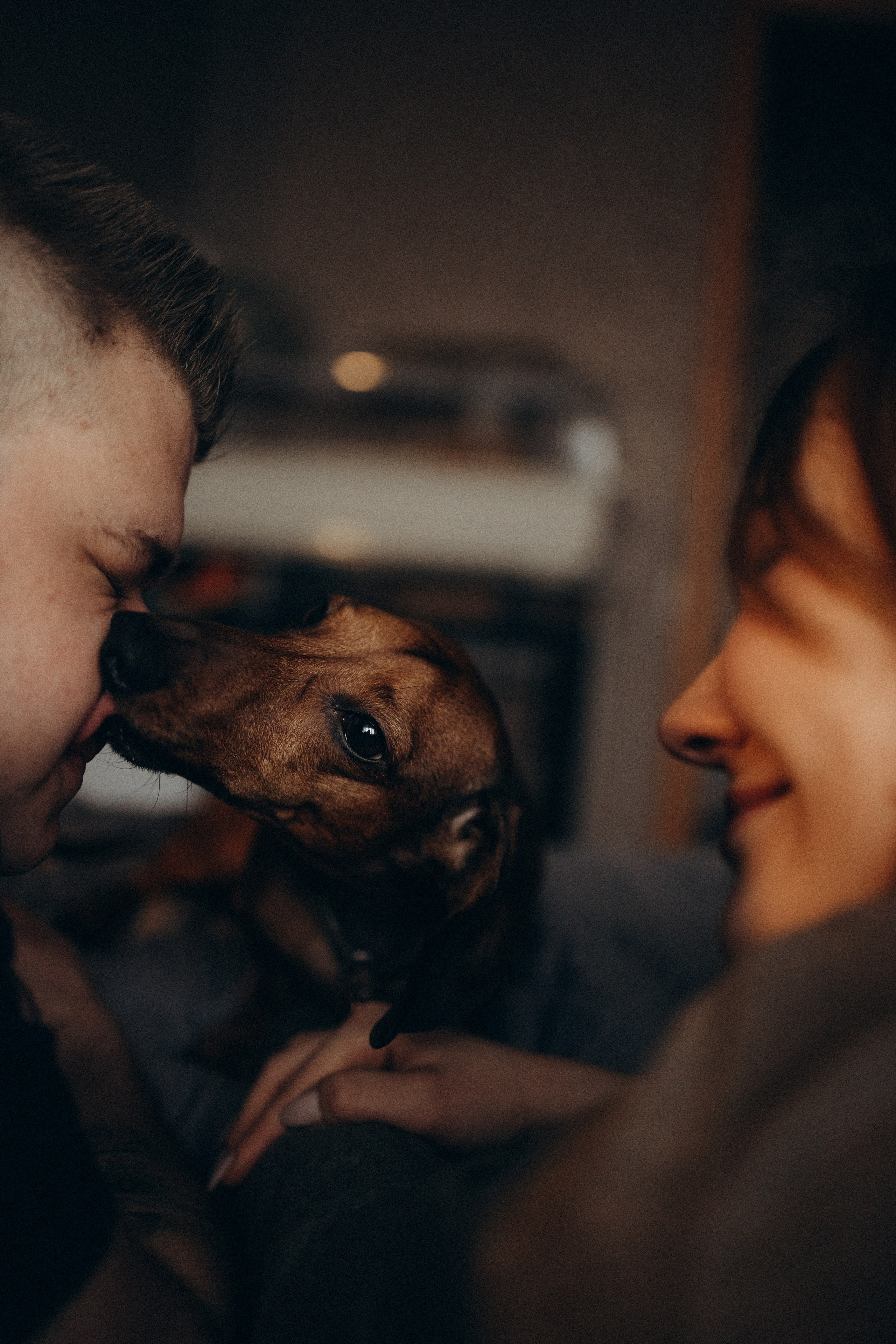 Маша и ее семья. Фотораф — анималист Мария Шистка