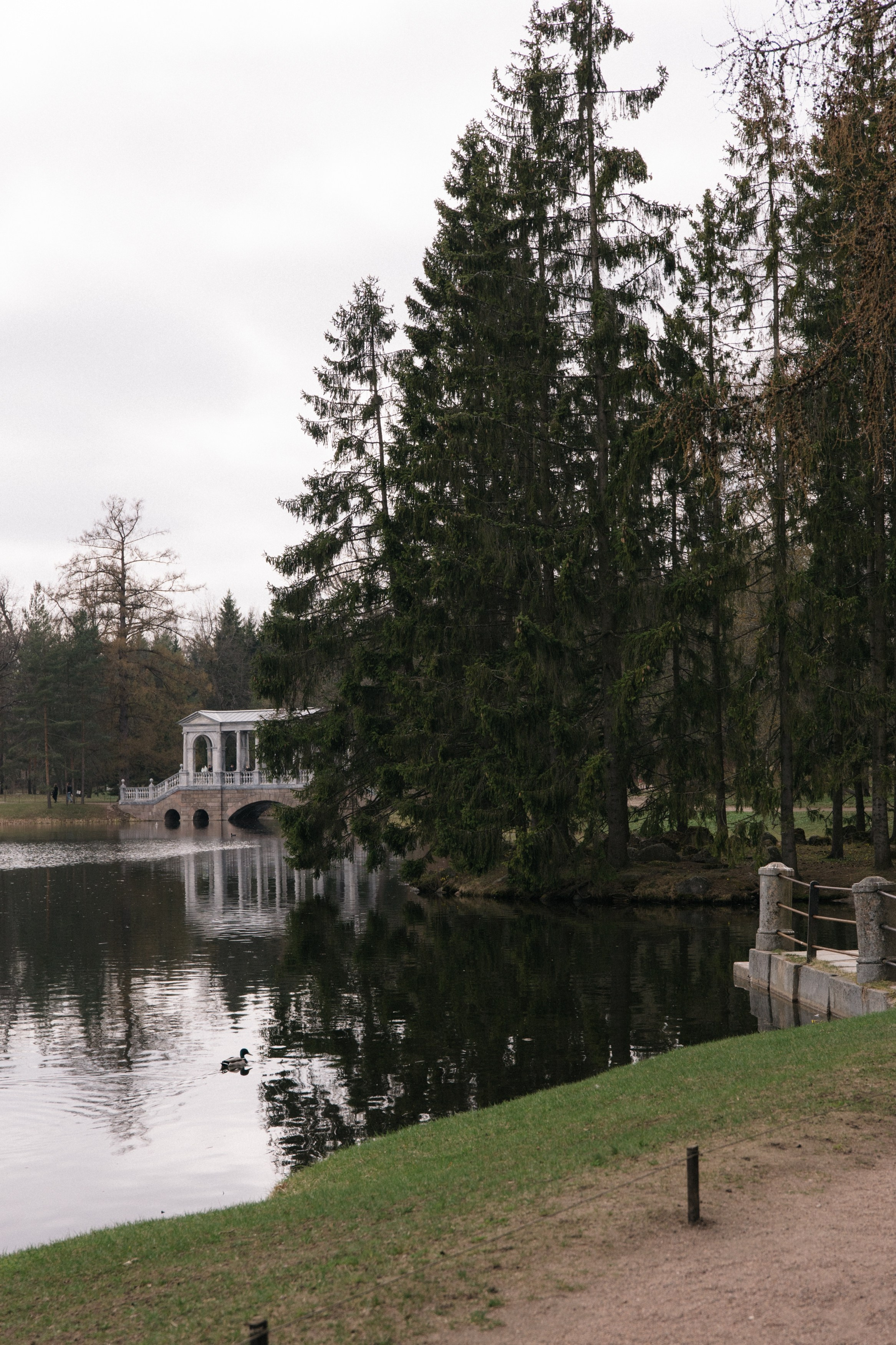 Вероника & Глеб. Фотограф Санкт-Петербург. Аврамова Анастасия