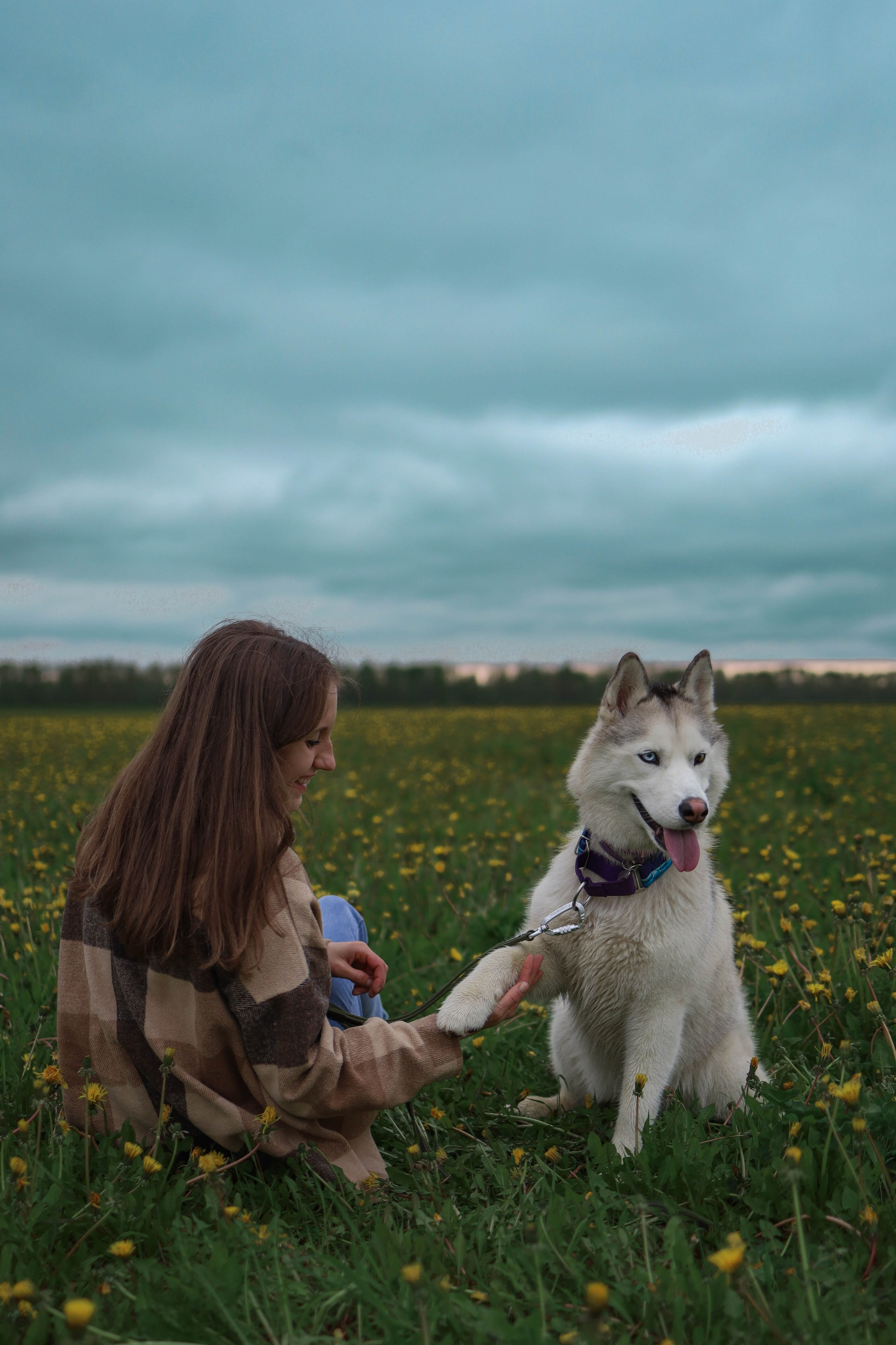 Шанти и Катя. Фотограф-анималист в Санкт-Петеребурге Титова Алиса