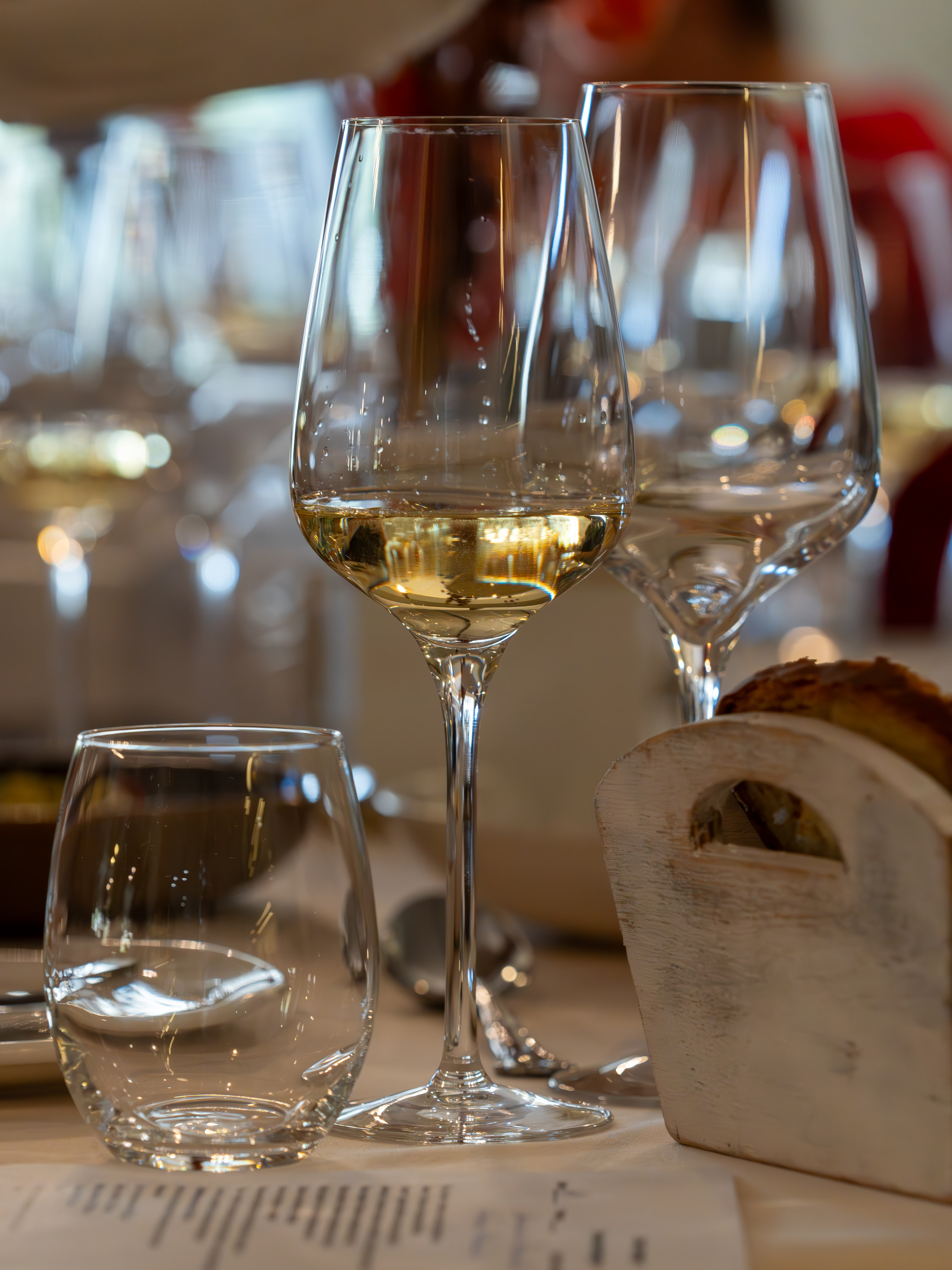 Литературная мастерская с Ольгой Шутовой в «Винотеррии». Репортажный фотограф в Красной Поляне и Сочи Павлюченко Екатерина