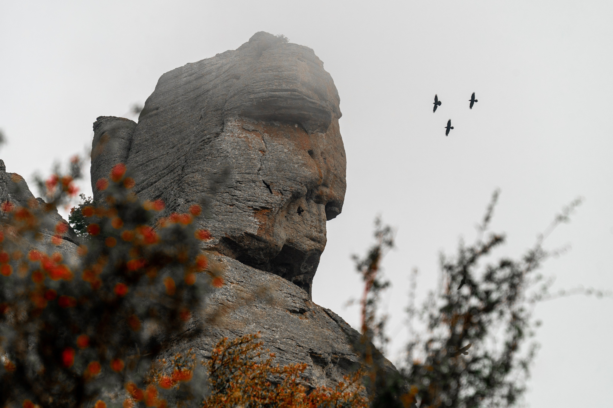 Путешествия и пейзаж. Репортажный фотограф в Красной Поляне и Сочи Павлюченко Екатерина