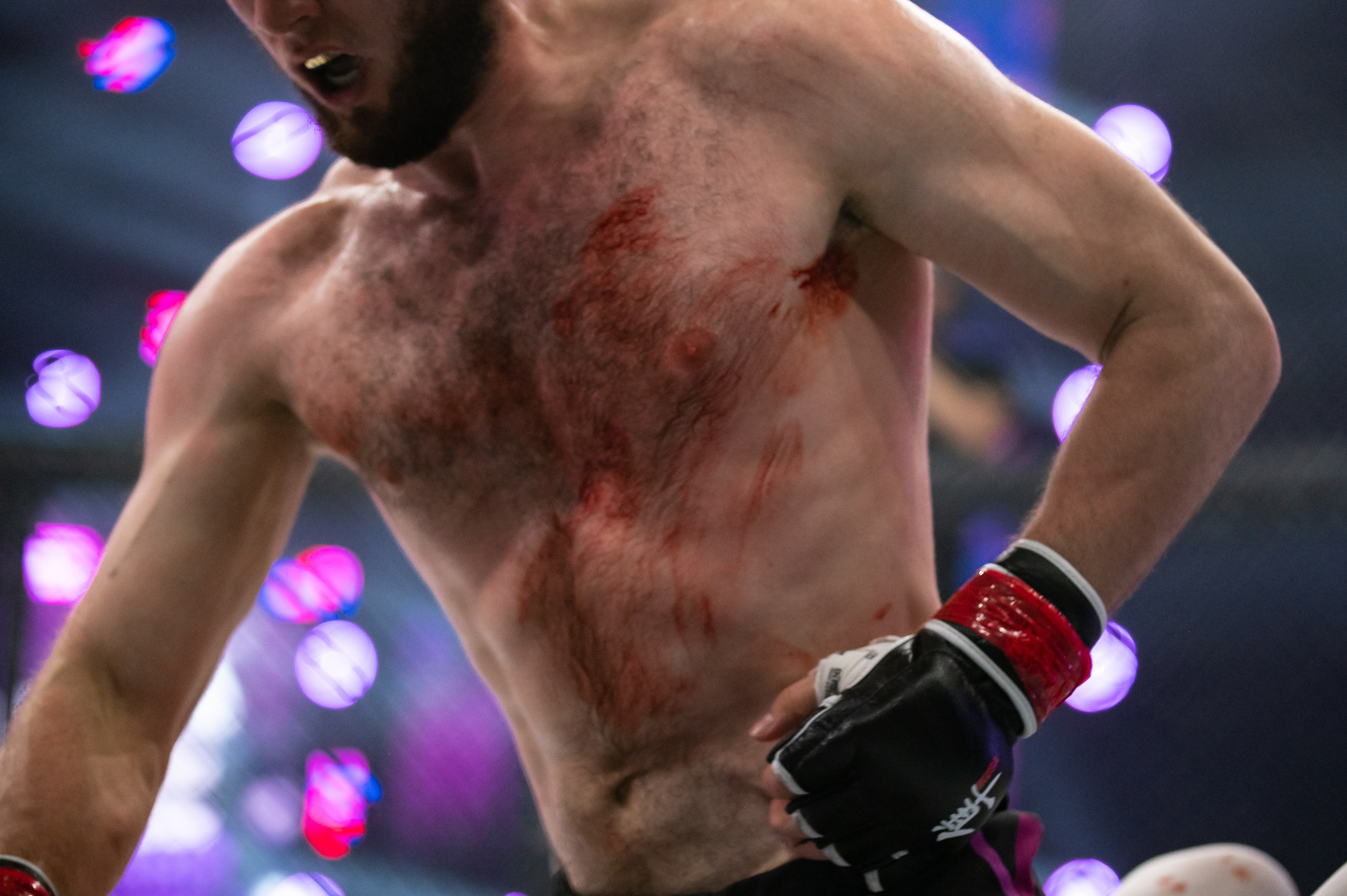 Бои. Репортажный фотограф в Красной Поляне и Сочи Павлюченко Екатерина